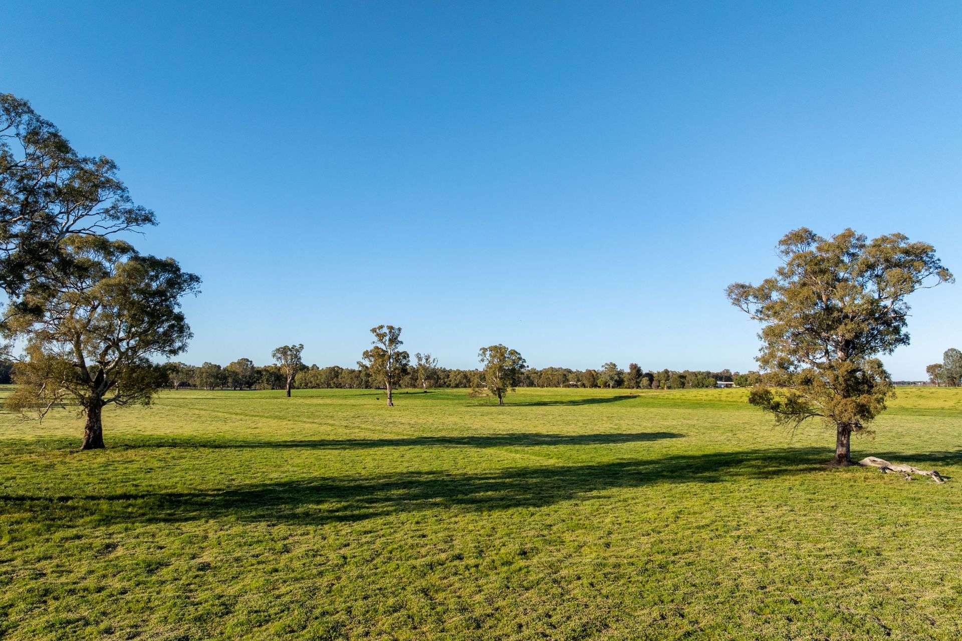 6021 Riverina Highway, Hopefield For Sale by Farmbuy.com - image 27