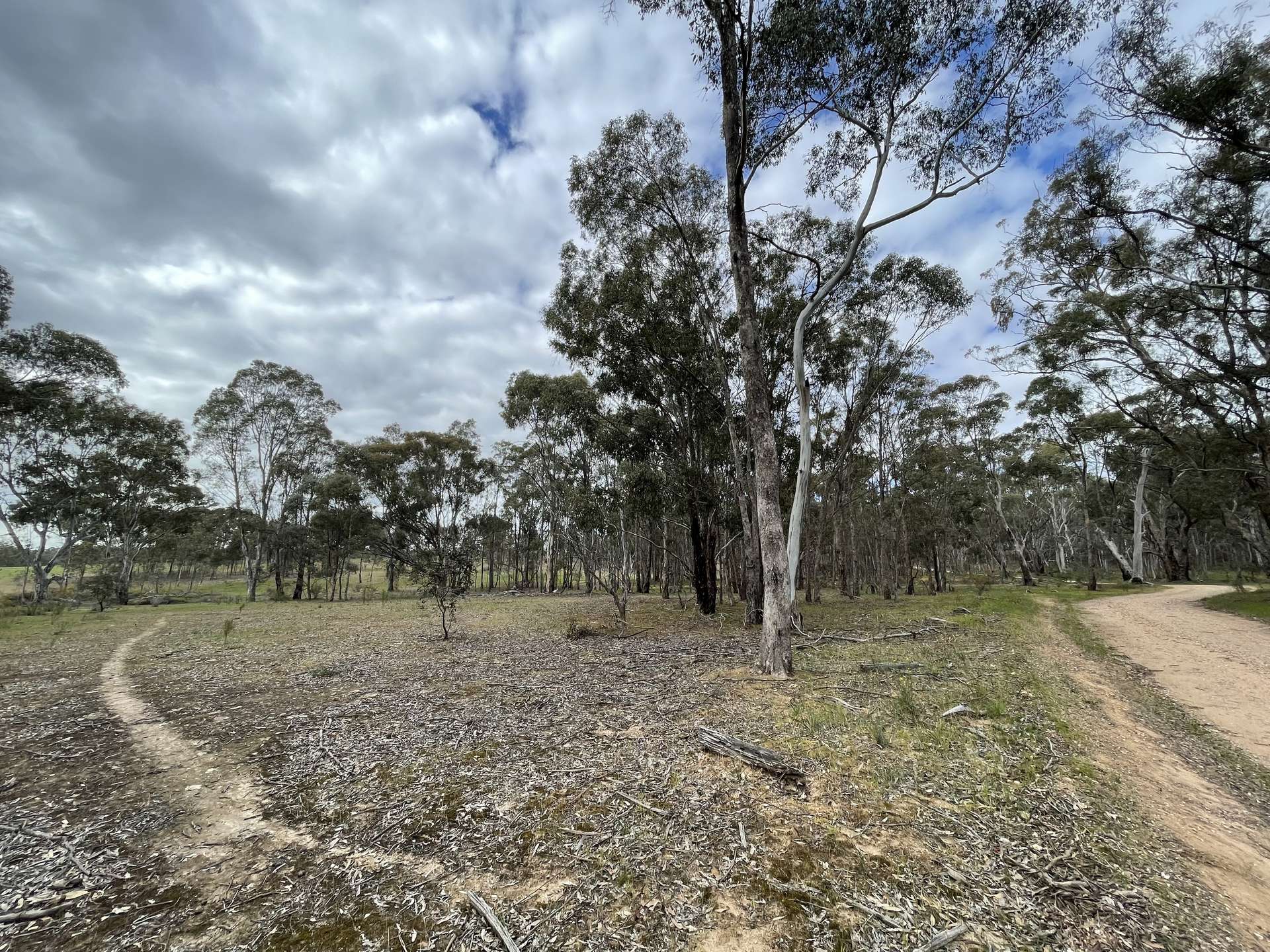 CA 14 Sunraysia Highway, Stuart Mill Sold by Farmbuy.com - image 10