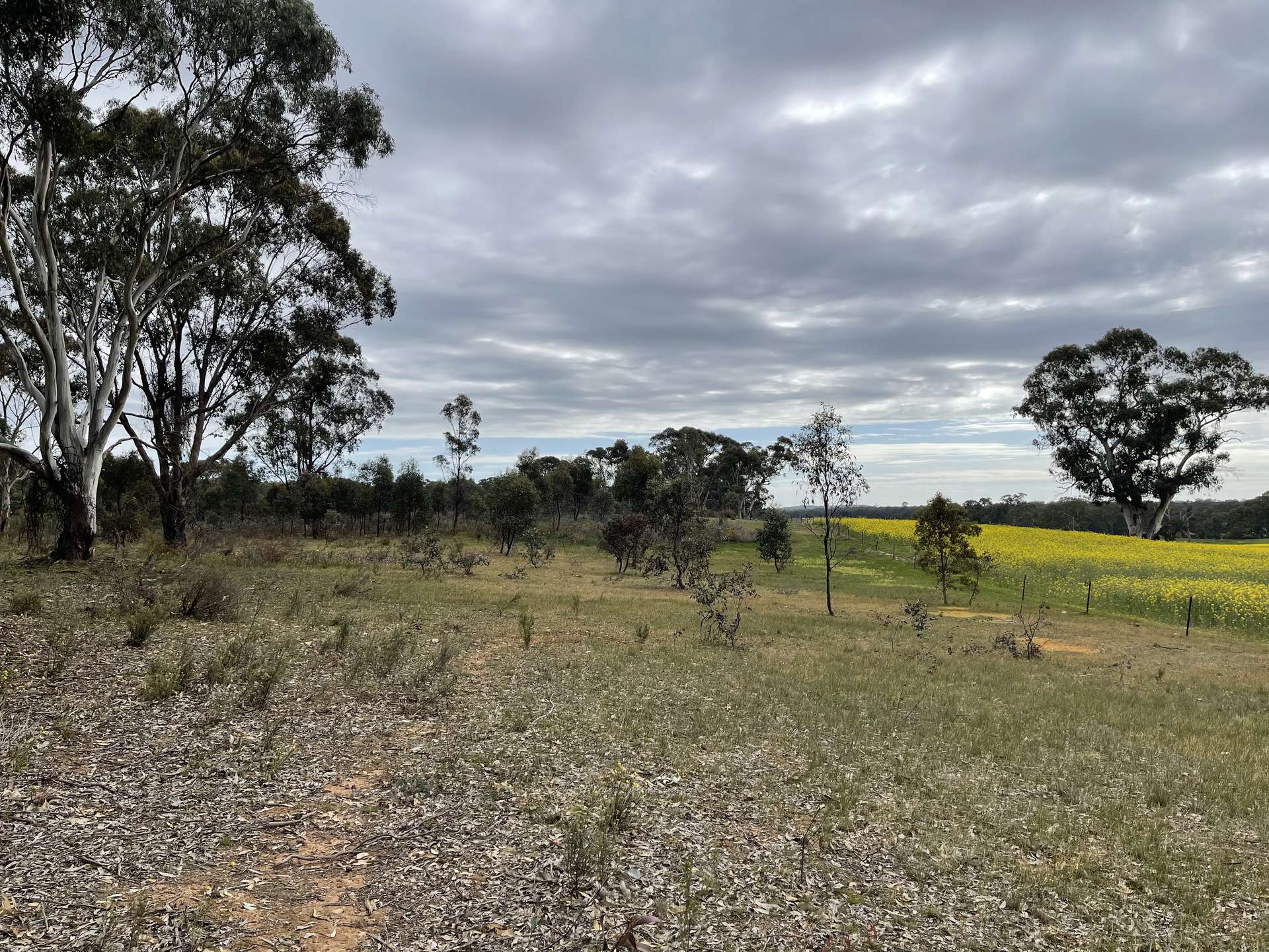 CA 14 Sunraysia Highway, Stuart Mill Sold by Farmbuy.com - image 17