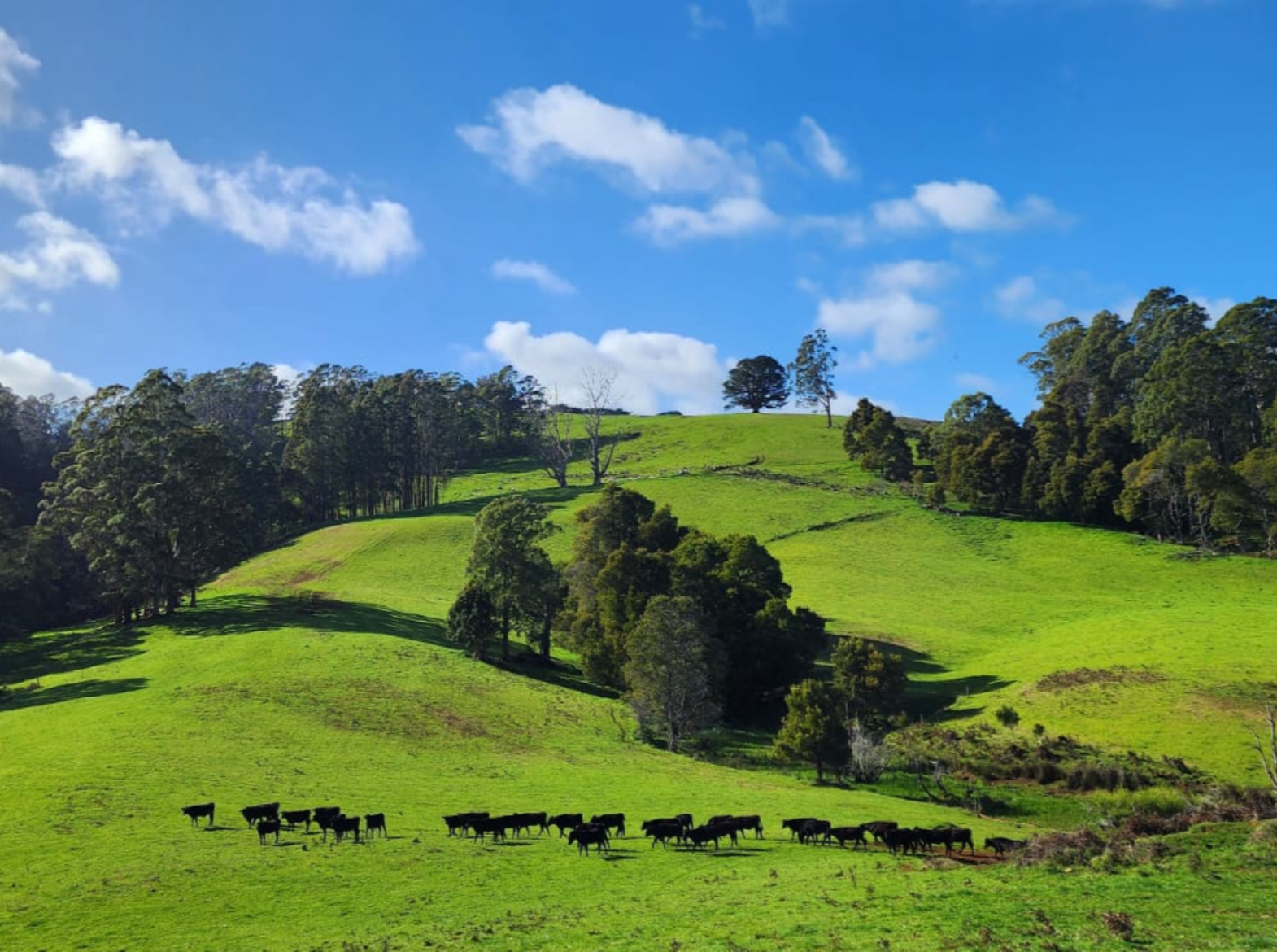 69 North Prospect Road, West Ridgley For Sale by Farmbuy.com - image 2
