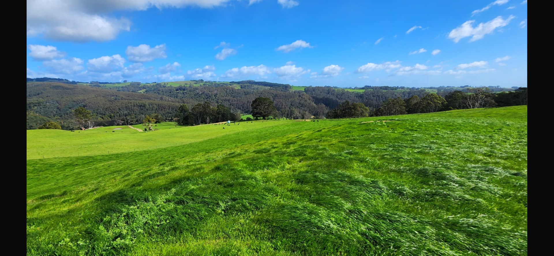 69 North Prospect Road, West Ridgley For Sale by Farmbuy.com - image 4