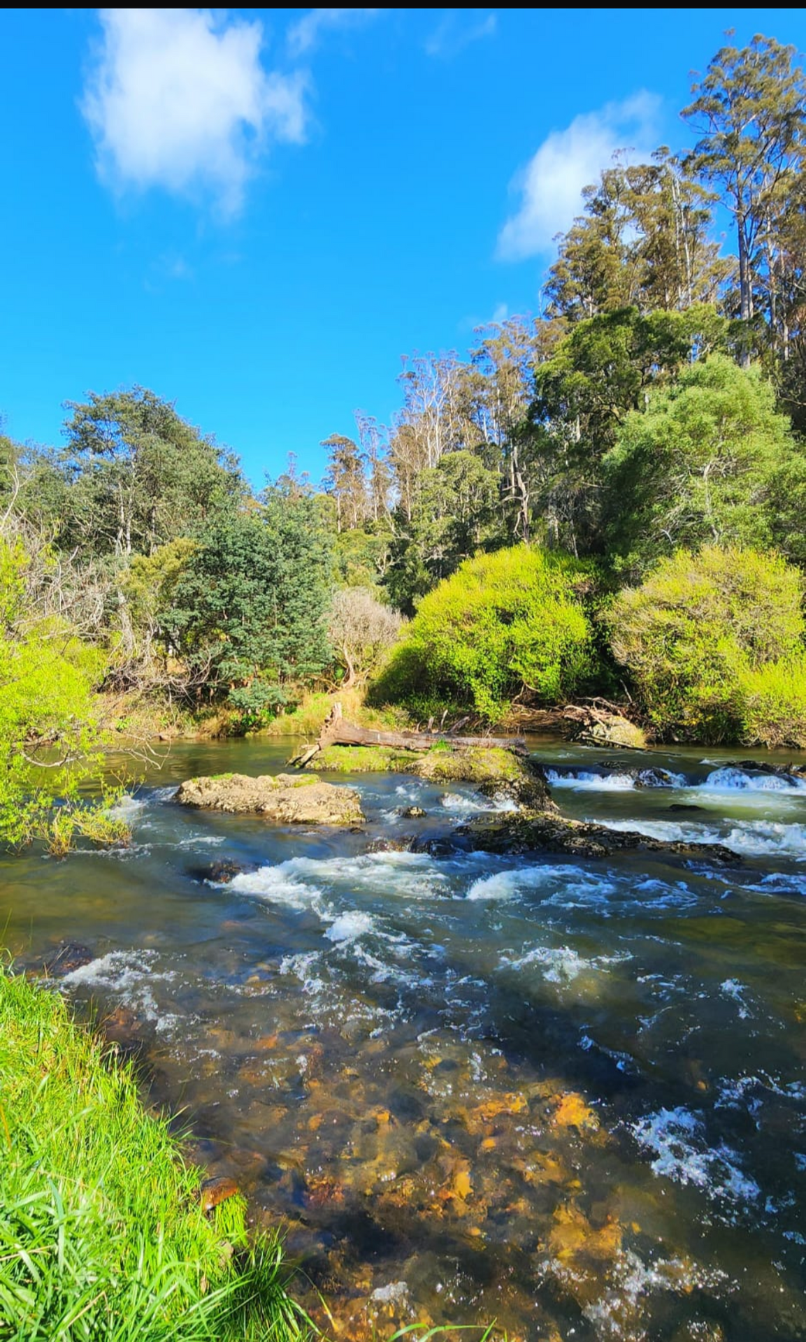 69 North Prospect Road, West Ridgley For Sale by Farmbuy.com - image 6