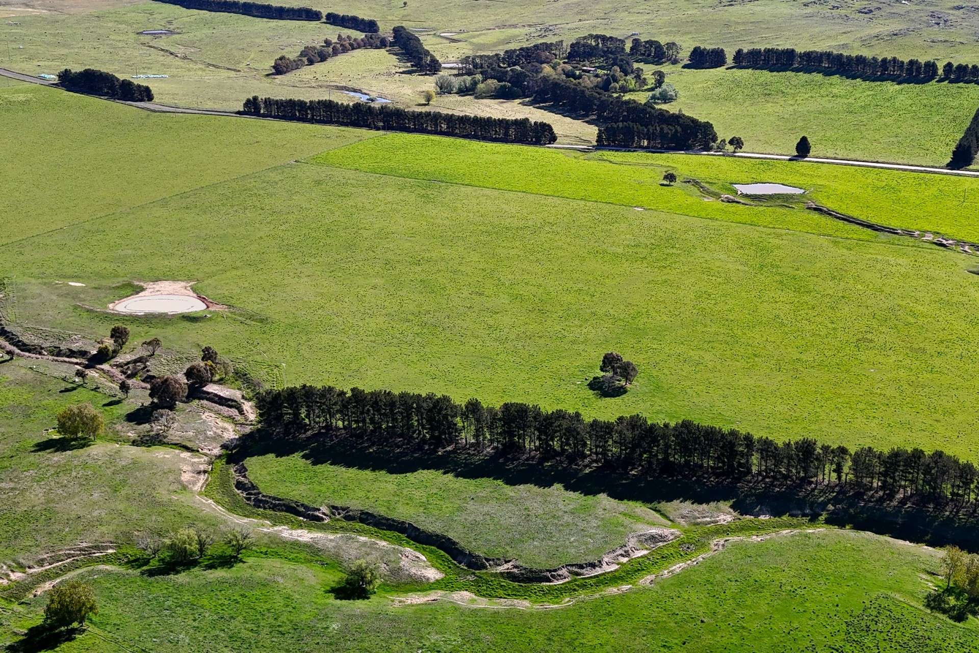 1120 Taylors Creek Road, Tarago Sold by Farmbuy.com - image 13