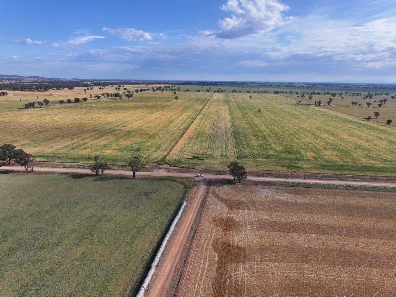 'Wyoming' 1079 Davidsons Road, Temora Sold by Farmbuy.com - image 12