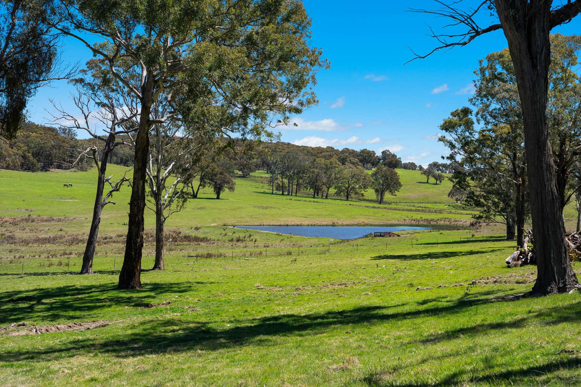 329 Bridge Creek Road, Binda Via, Crookwell For Sale by Farmbuy.com - image 25