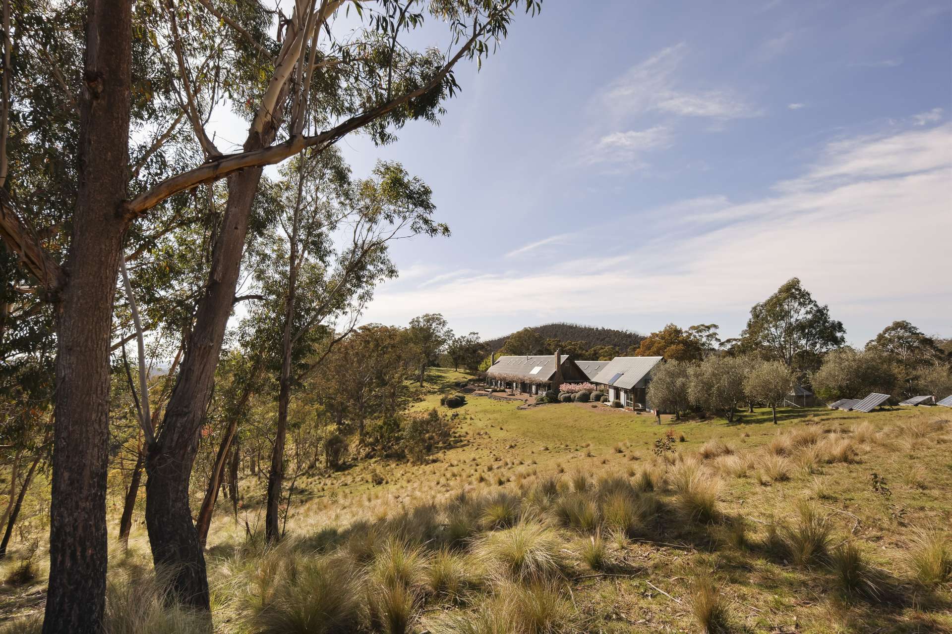 1143 Bombay Road, Braidwood Sold by Farmbuy.com - image 25