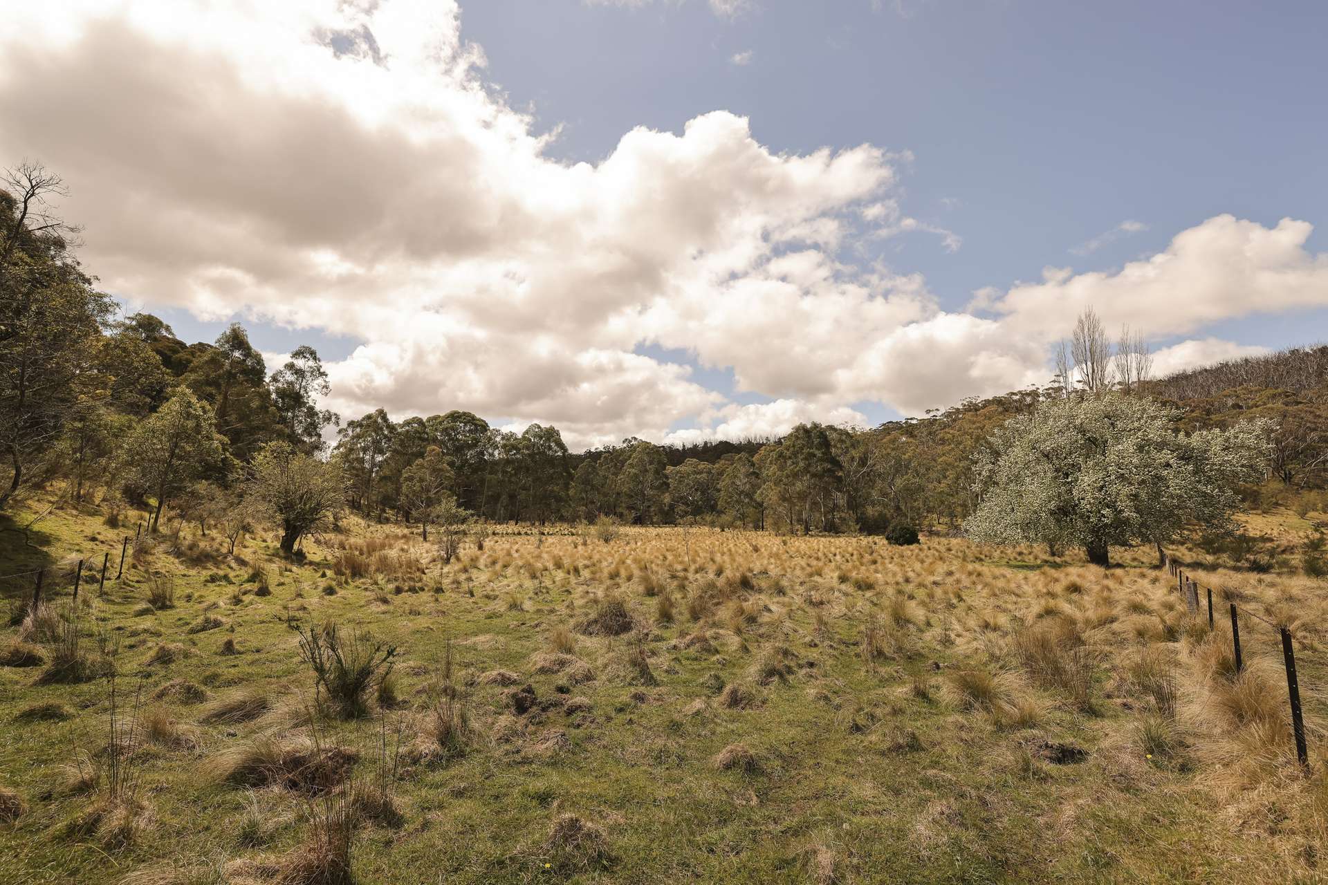 1143 Bombay Road, Braidwood Sold by Farmbuy.com - image 35