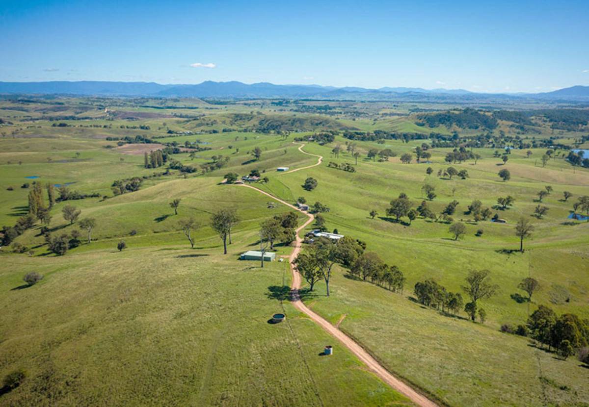 169 Cochranes Road, Wolumla For Sale by Farmbuy.com - image 9