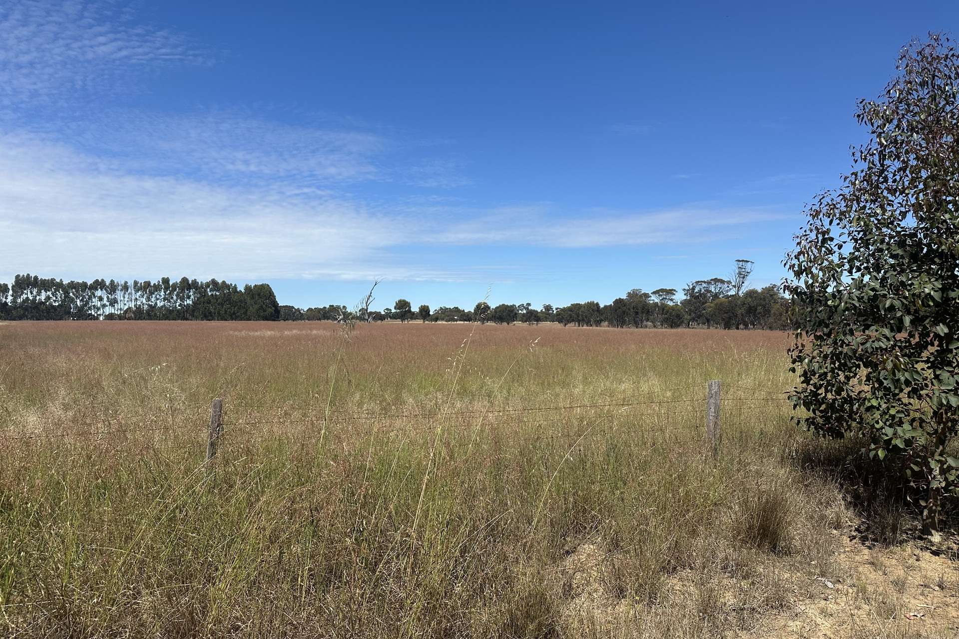 Lot 372,  Broomehill-Kojonup Road, Broomehill Village Sold by Farmbuy.com - image 13