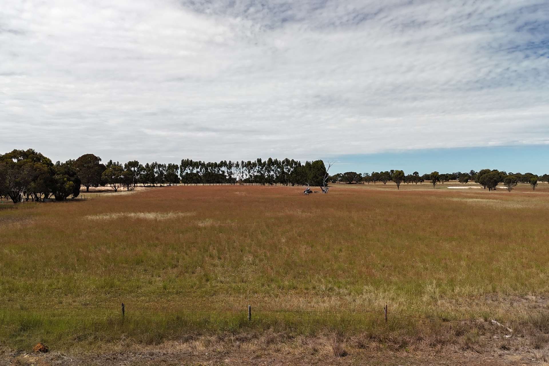 Lot 372,  Broomehill-Kojonup Road, Broomehill Village Sold by Farmbuy.com - image 4