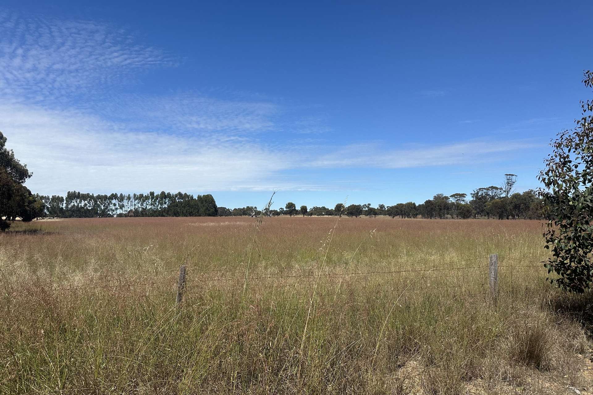 Lot 372,  Broomehill-Kojonup Road, Broomehill Village Sold by Farmbuy.com - image 7