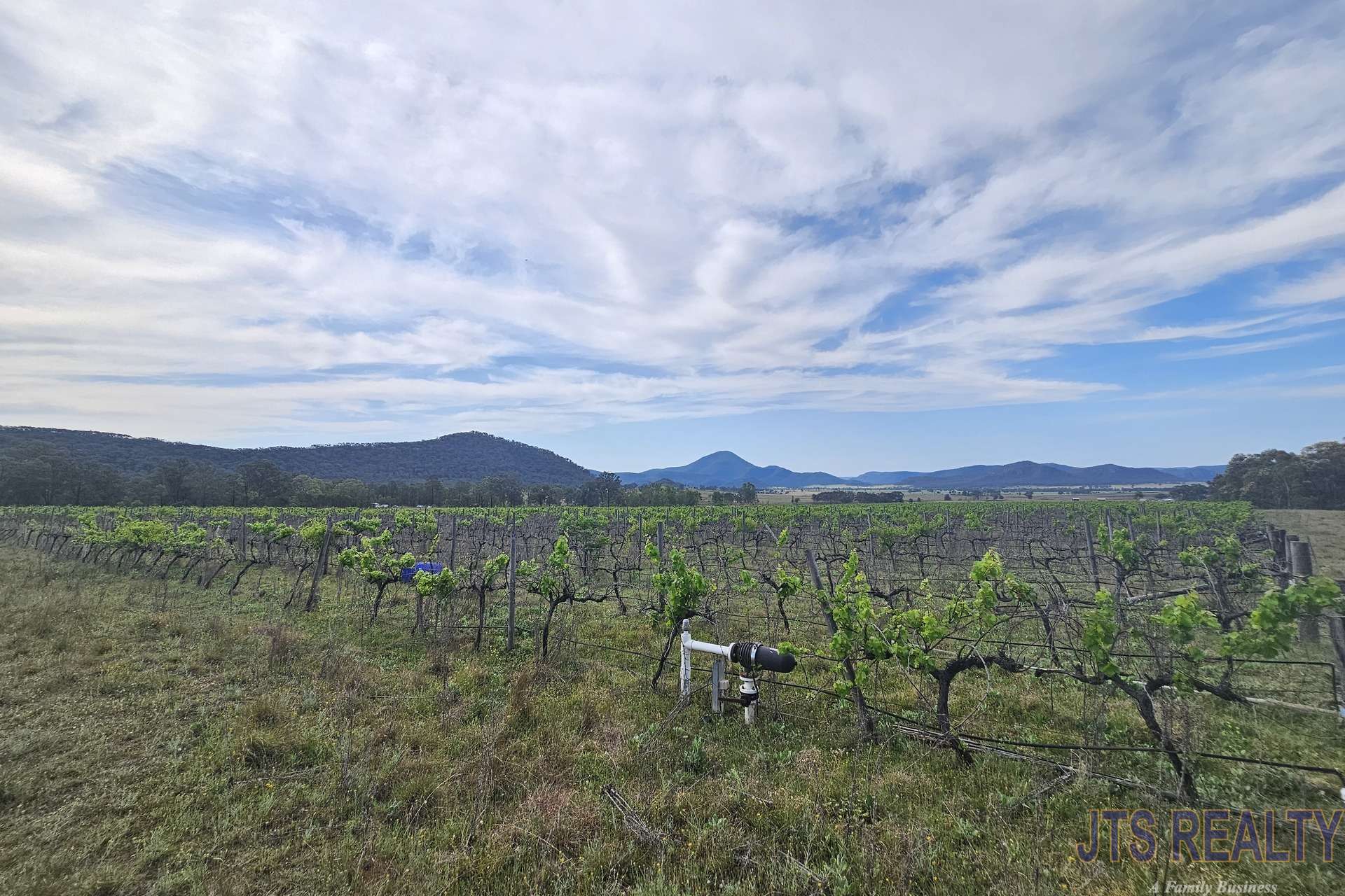 951 Bylong Valley Way, Baerami For Sale by Farmbuy.com - image 26