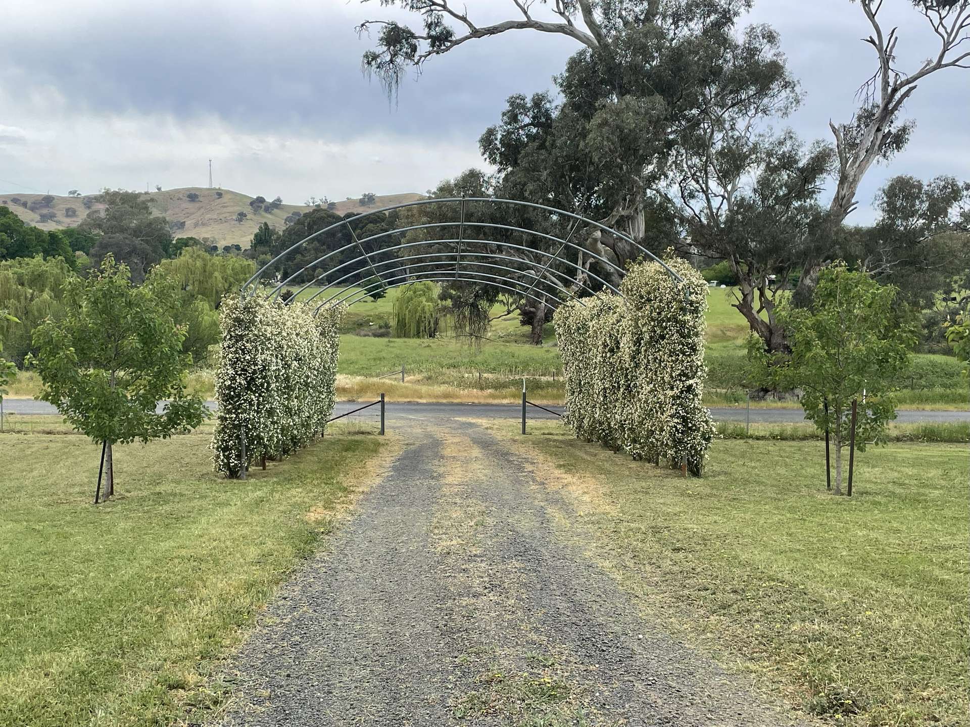 79 Five Mile Creek Road, Gundagai For Sale by Farmbuy.com - image 22