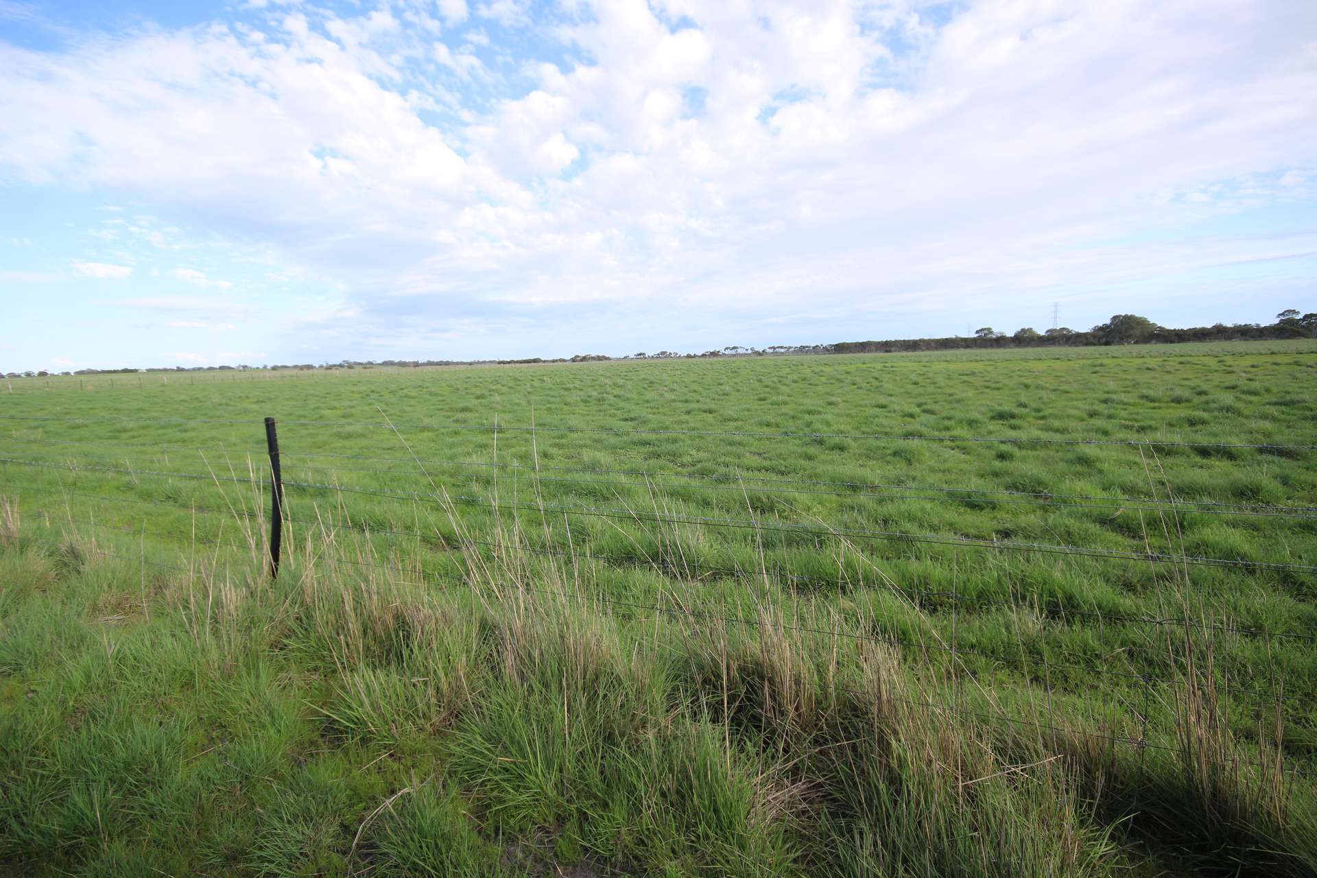 98 Sinclairs Road, Naracoorte Sold by Farmbuy.com - image 8