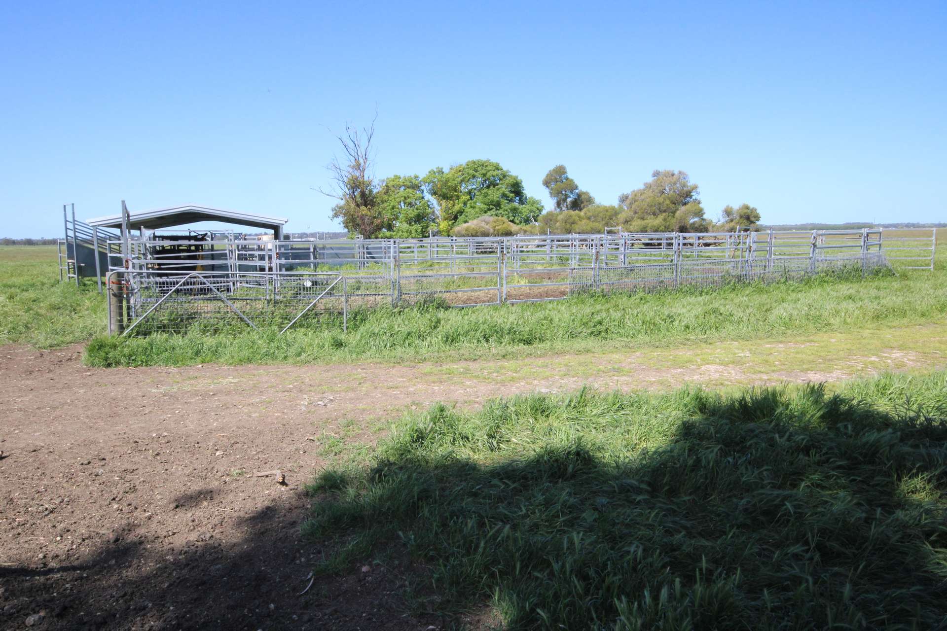 98 Sinclairs Road, Naracoorte Sold by Farmbuy.com - image 3