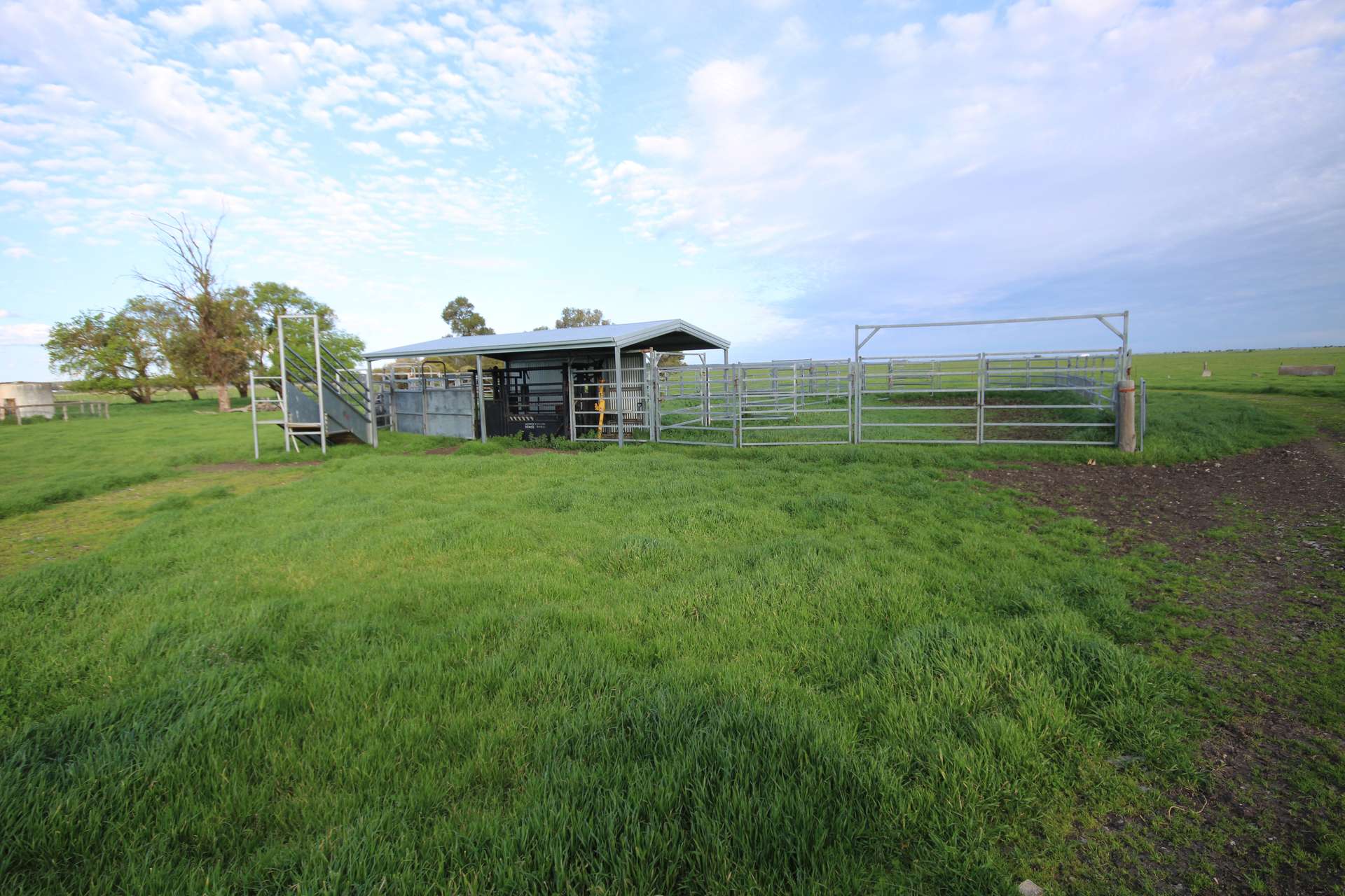 98 Sinclairs Road, Naracoorte Sold by Farmbuy.com - image 2