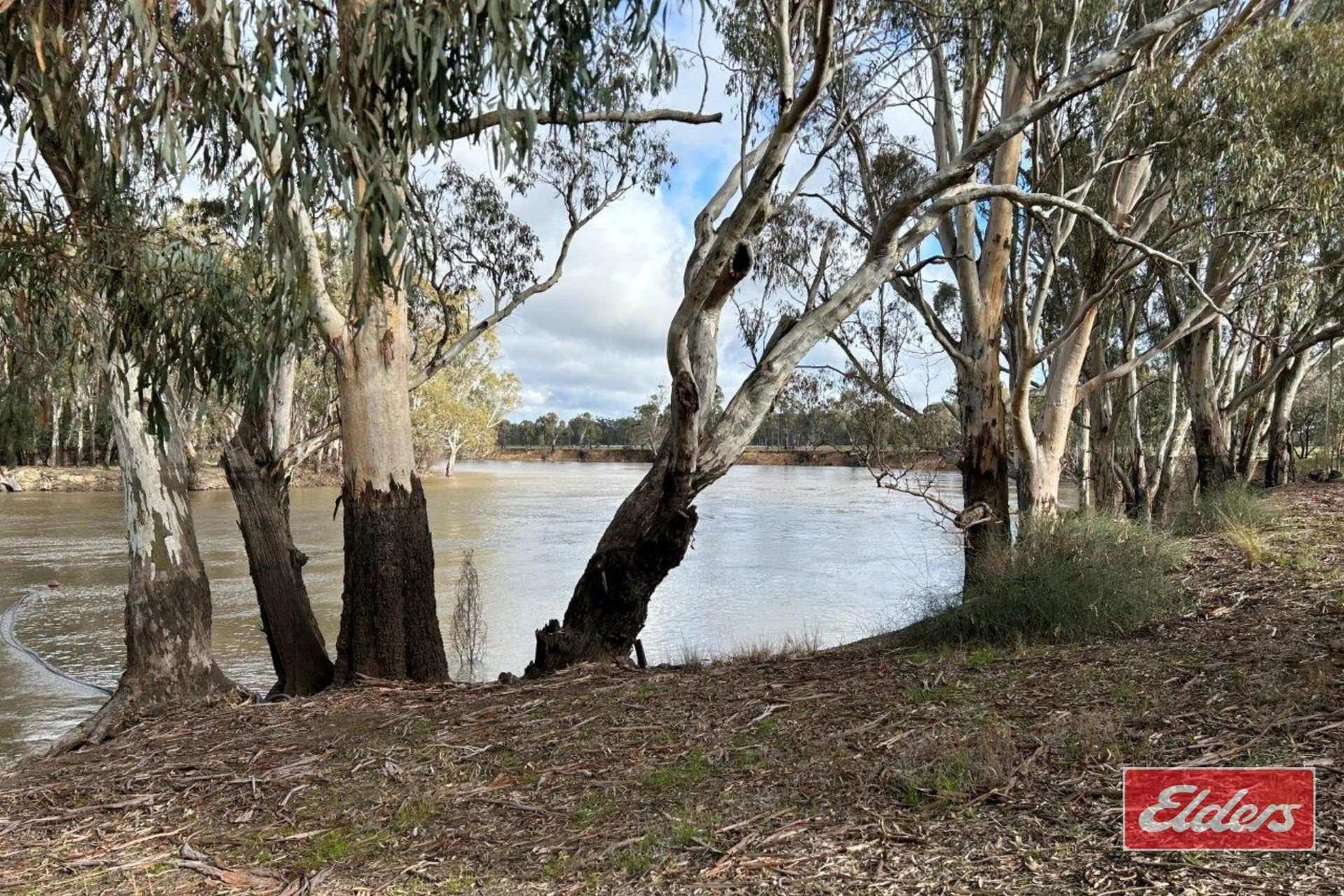 220 Old Barmah Road, Moama For Sale by Farmbuy.com - image 6