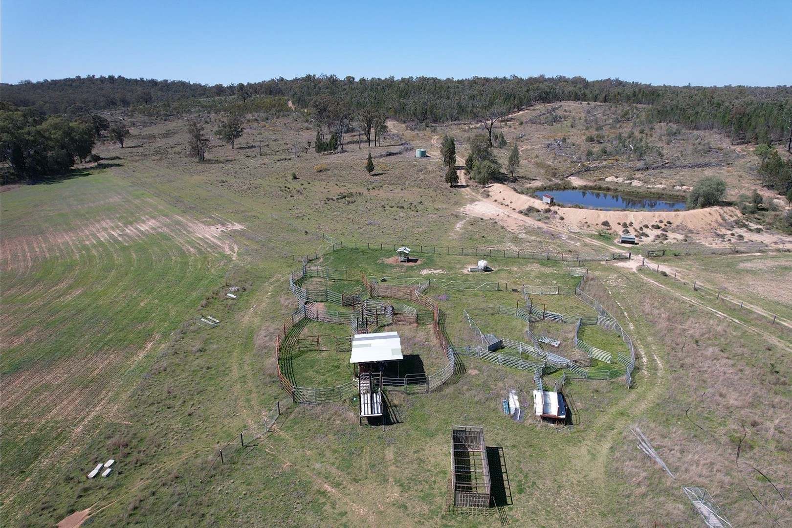 3094 Mosquito Creek Road, Mosquito Creek For Sale by Farmbuy.com - image 2