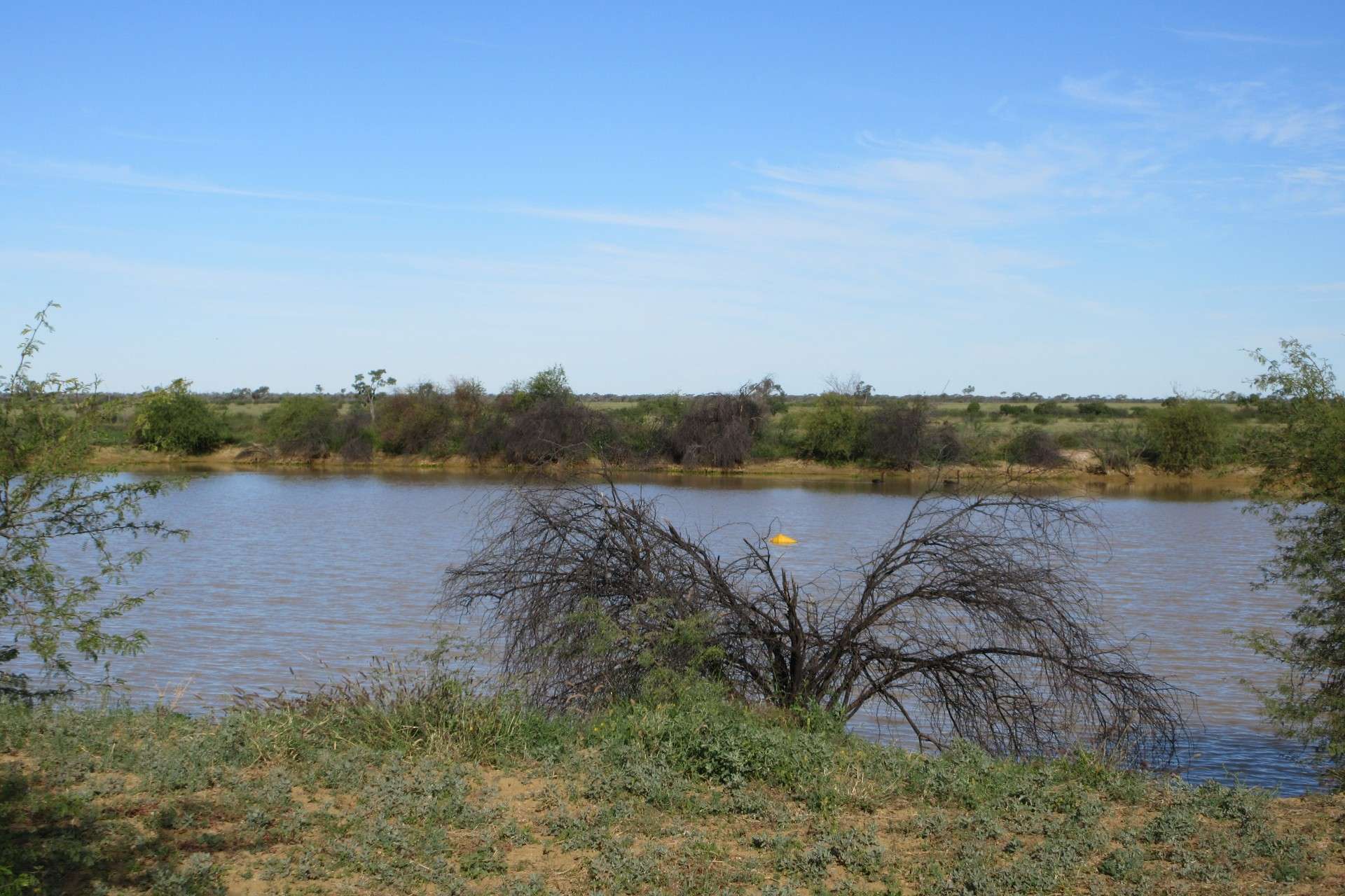 715 Royston Lane, Longreach For Sale by Farmbuy.com - image 13