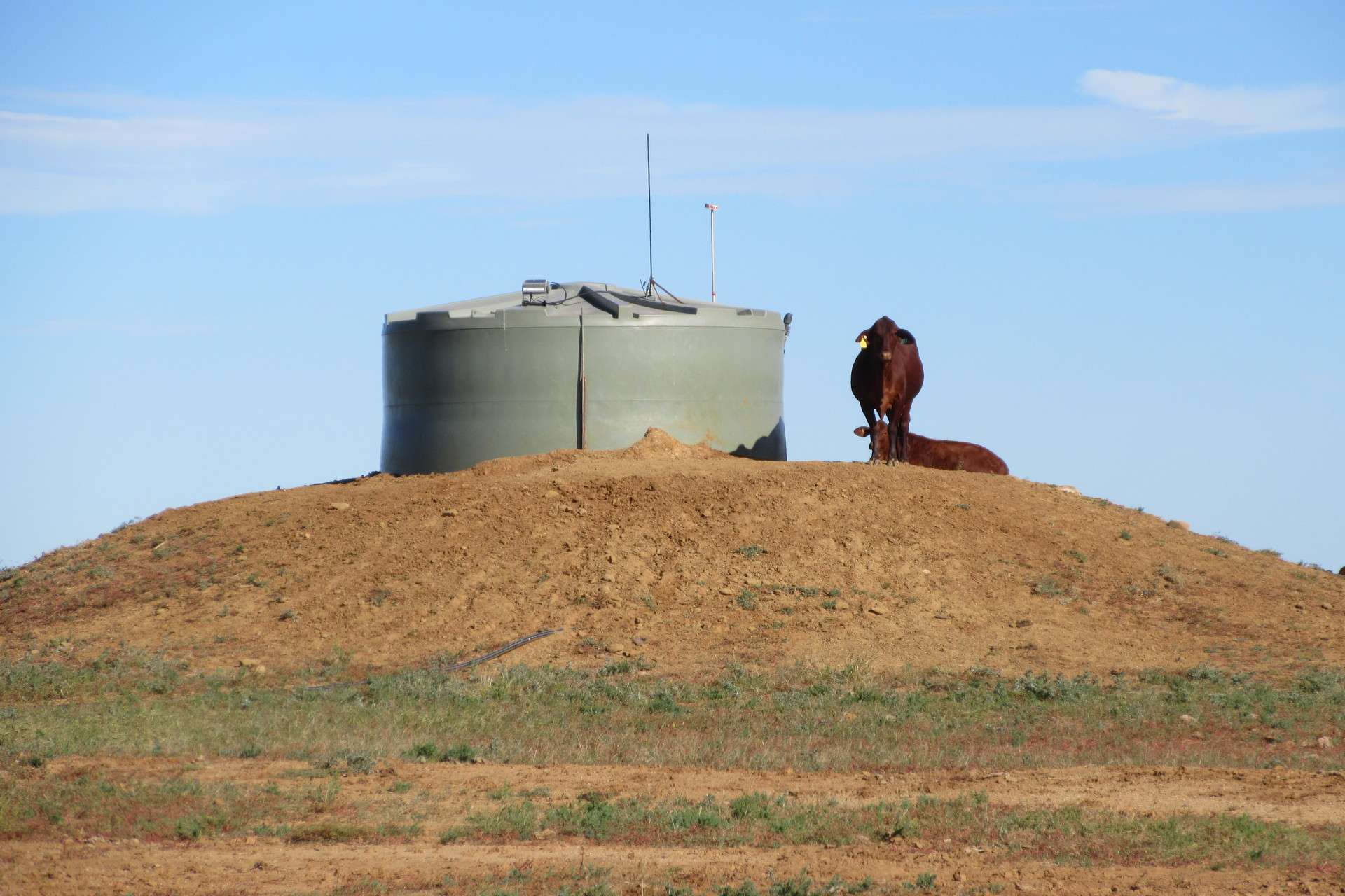 715 Royston Lane, Longreach For Sale by Farmbuy.com - image 3