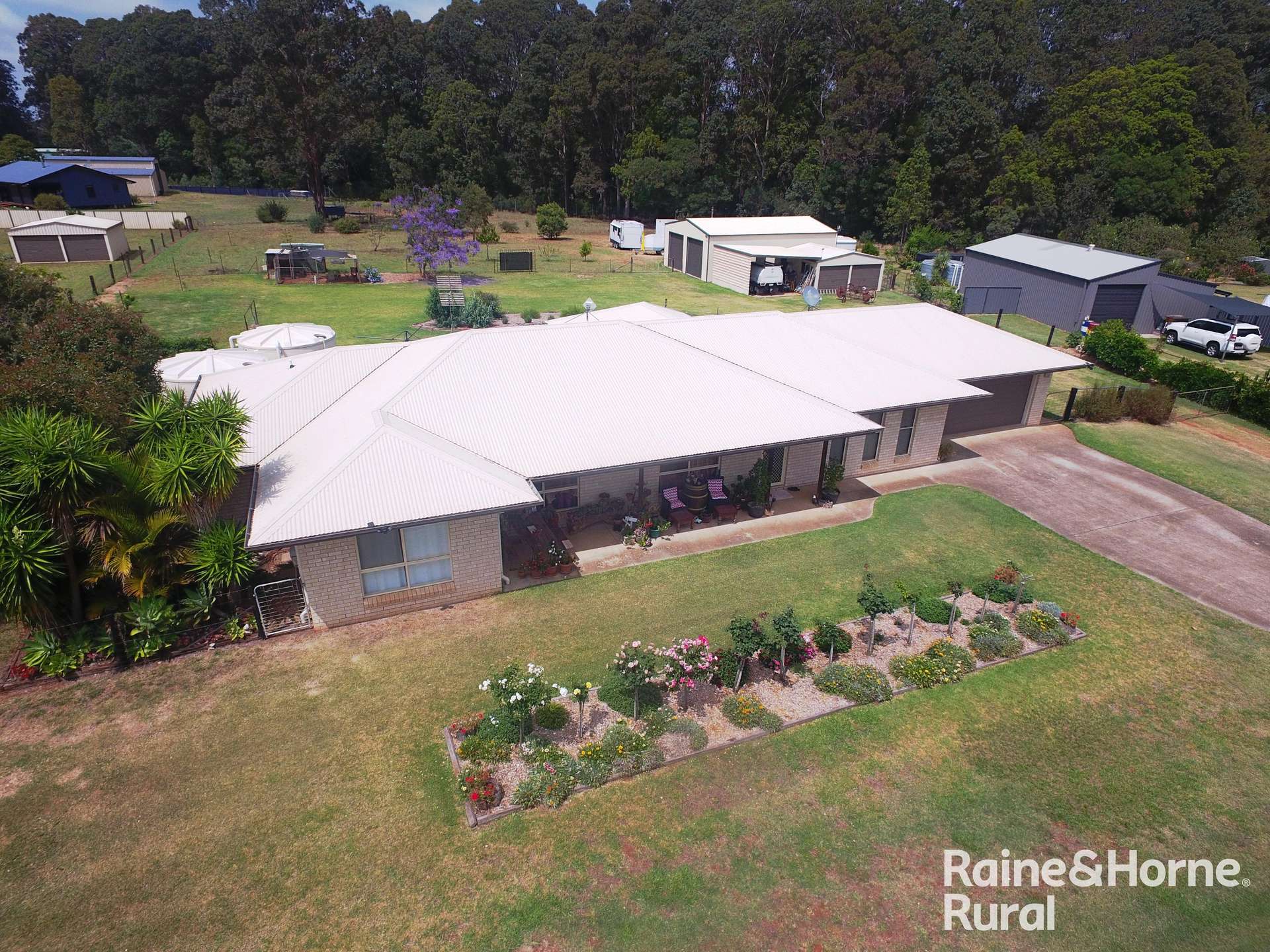 5 Lorikeet, Kingaroy Sold by Farmbuy.com - image 1