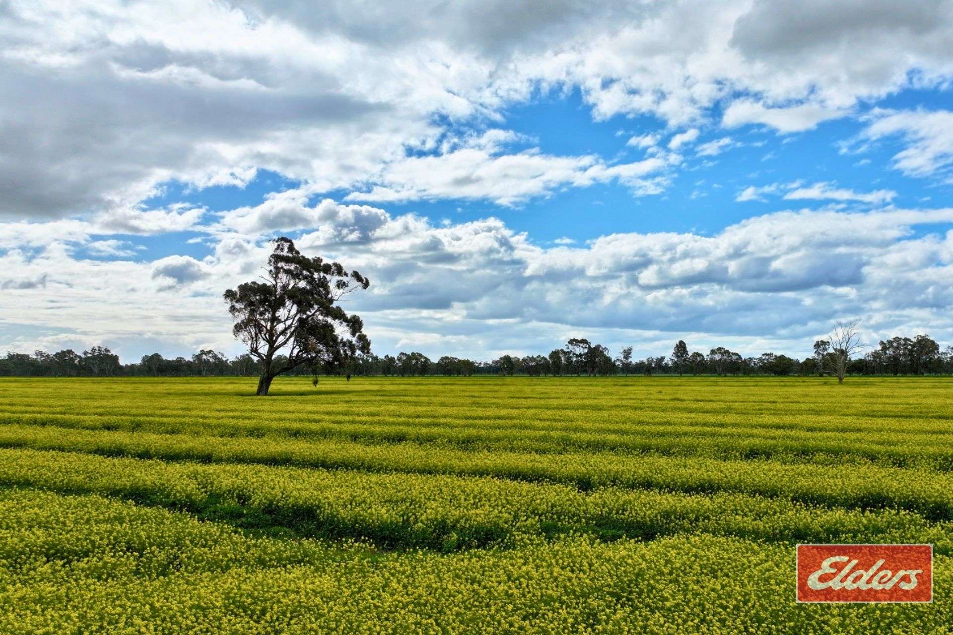 Lot 2 Old Barmah Road, Moama For Sale by Farmbuy.com - image 2