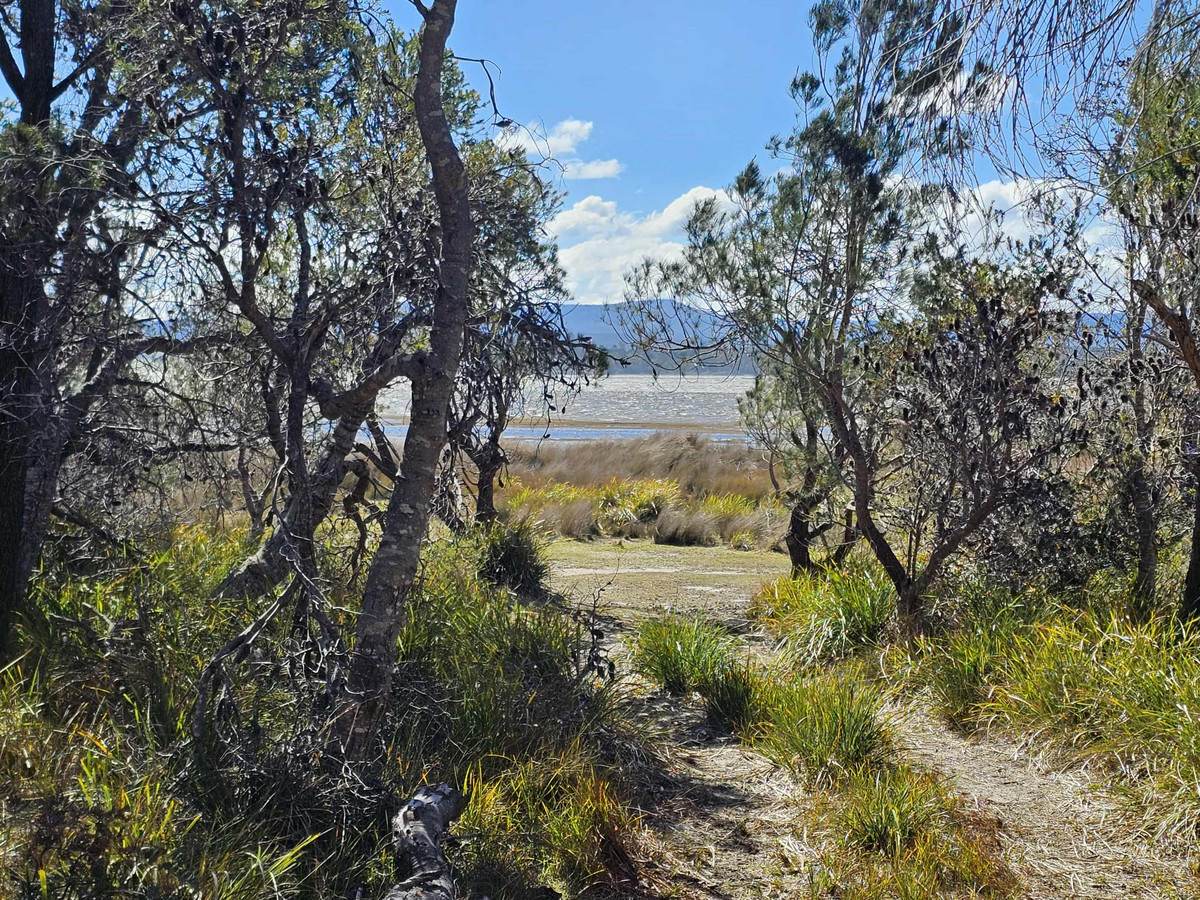 1434 Coles Bay Road, Coles Bay For Sale by Farmbuy.com - image 5
