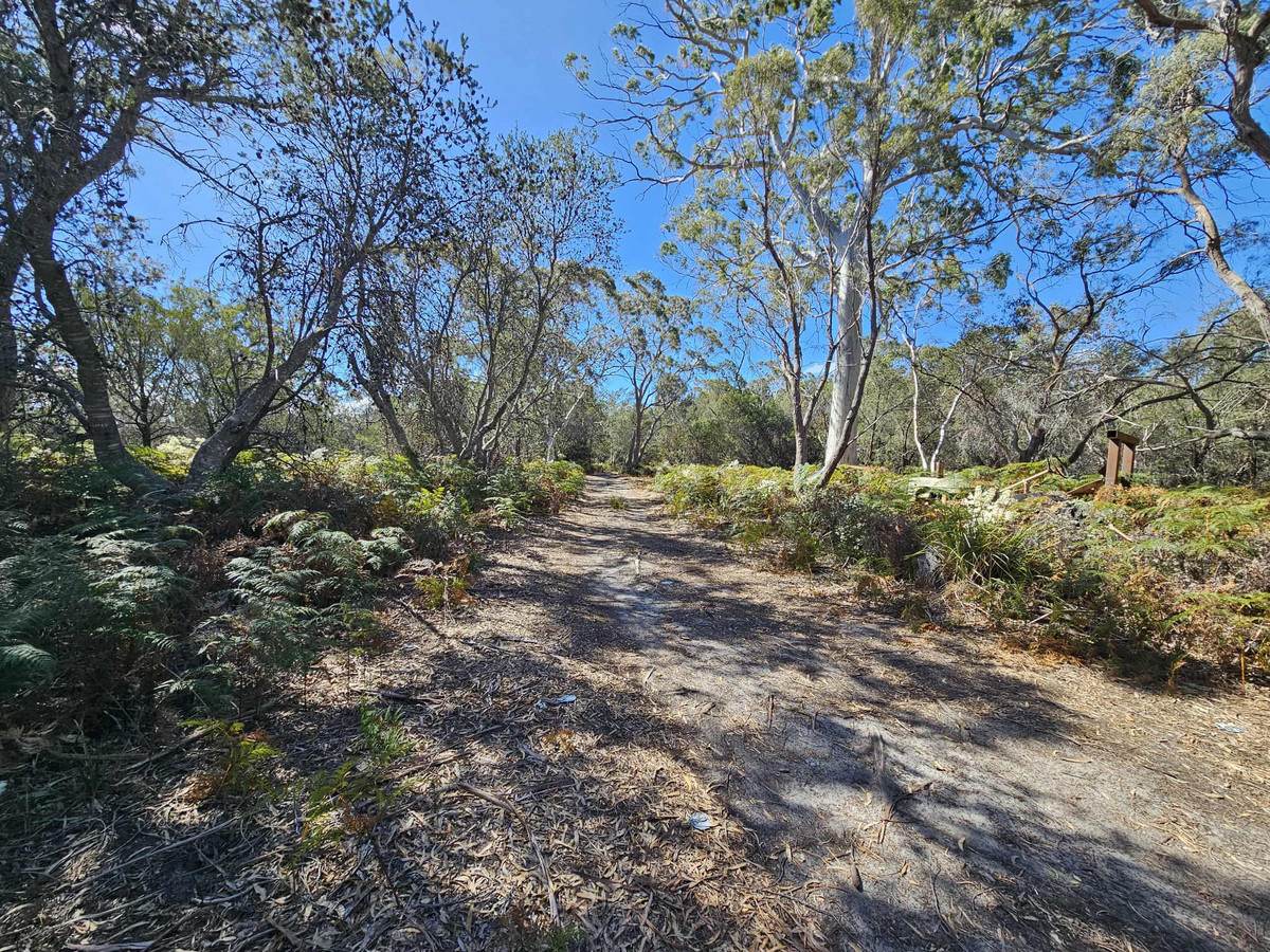 1434 Coles Bay Road, Coles Bay For Sale by Farmbuy.com - image 4