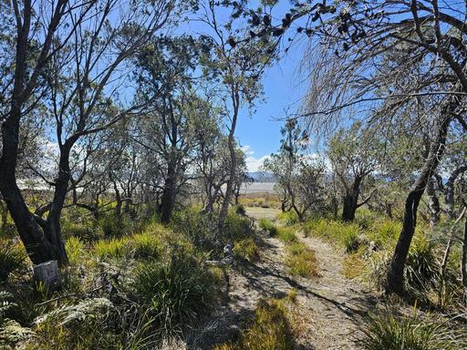 1434 Coles Bay Road, Coles Bay TAS 7215