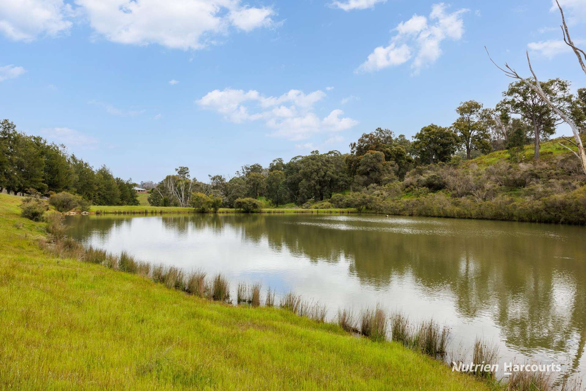 789 Thomson Brook Road, Thomson Brook Sold by Farmbuy.com - image 8