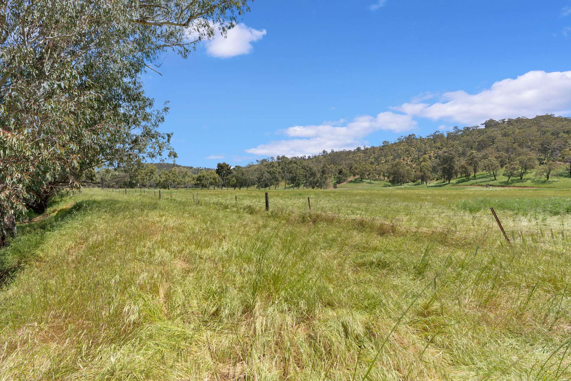 3115 Chittering Road, Chittering Sold by Farmbuy.com - image 32