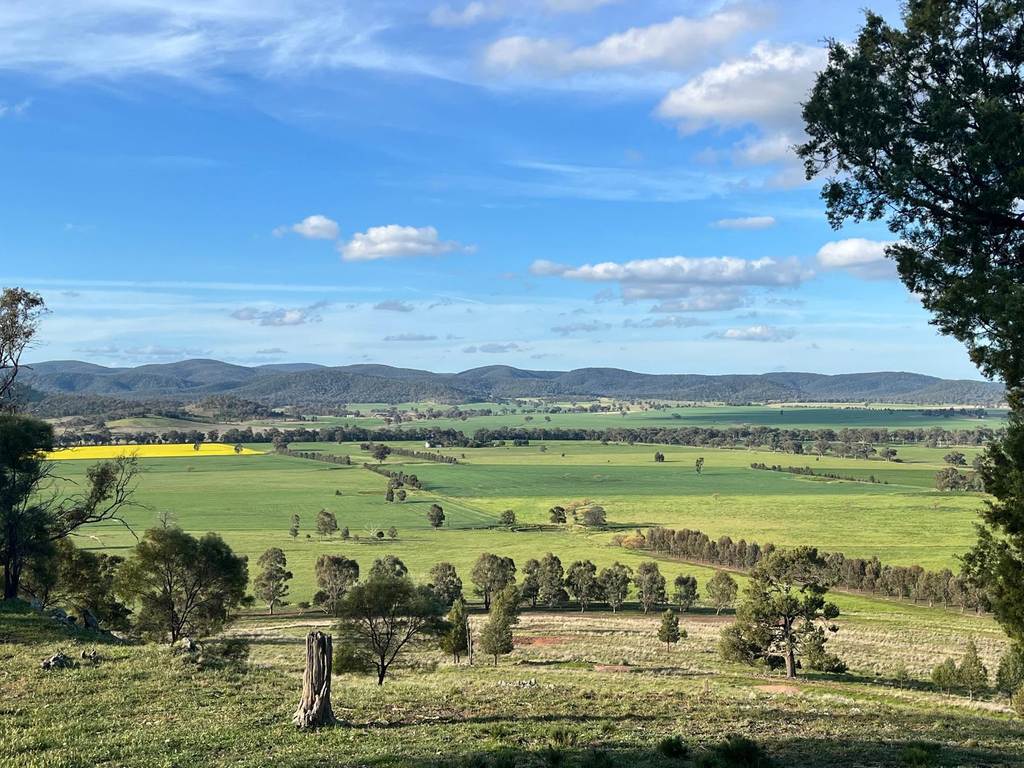 92 Campbells Lane, Canowindra NSW 2804