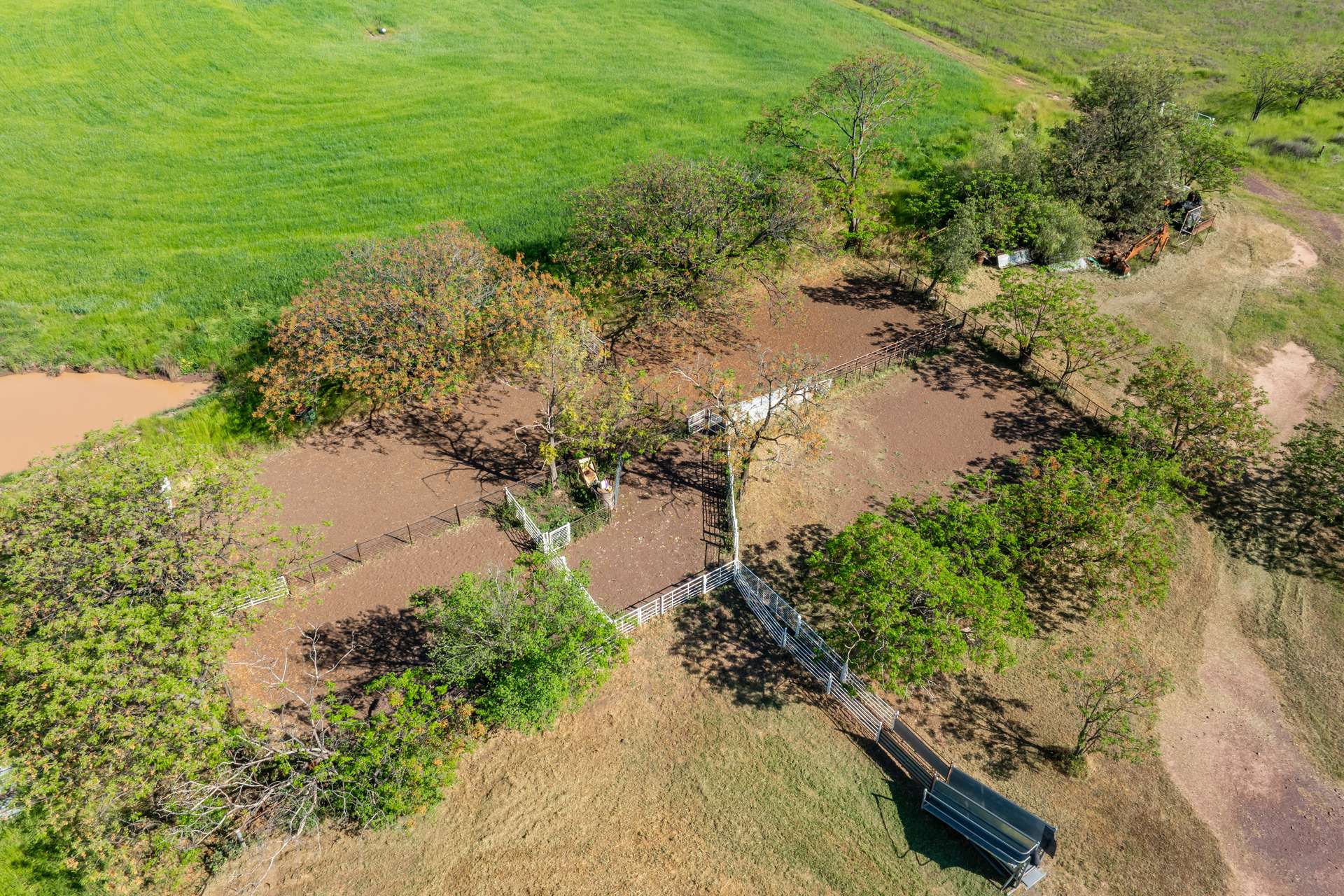 92 Campbells Lane, Canowindra For Sale by Farmbuy.com - image 22