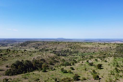 Farm Sold - QLD - Thangool - 4716 - 