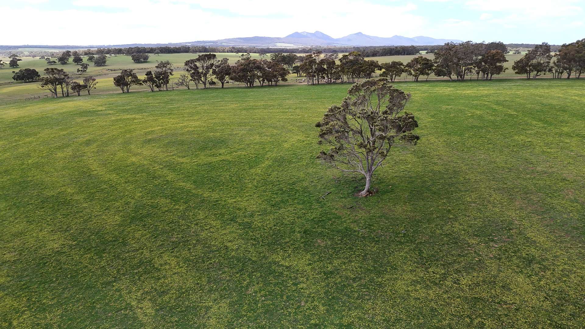 Lynchs, 438 Watermans Road, Narrikup For Sale by Farmbuy.com - image 1