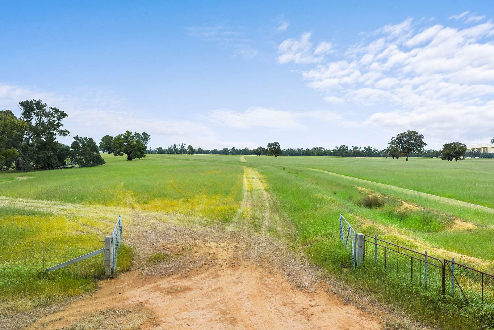 . River Road, Elmore Sold by Farmbuy.com - image 5