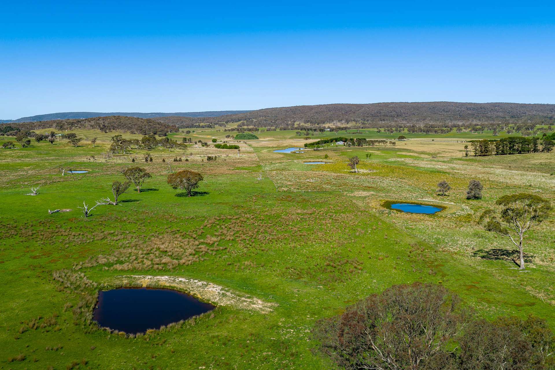 Lots 1, 68, 92, 166 Taralga Road, Tarlo Via, Goulburn Sold by Farmbuy.com - image 5