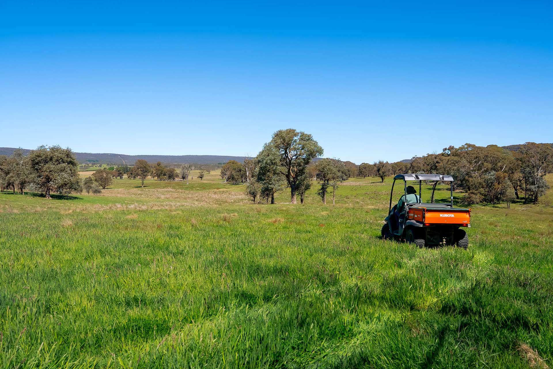 Lots 1, 68, 92, 166 Taralga Road, Tarlo Via, Goulburn Sold by Farmbuy.com - image 3