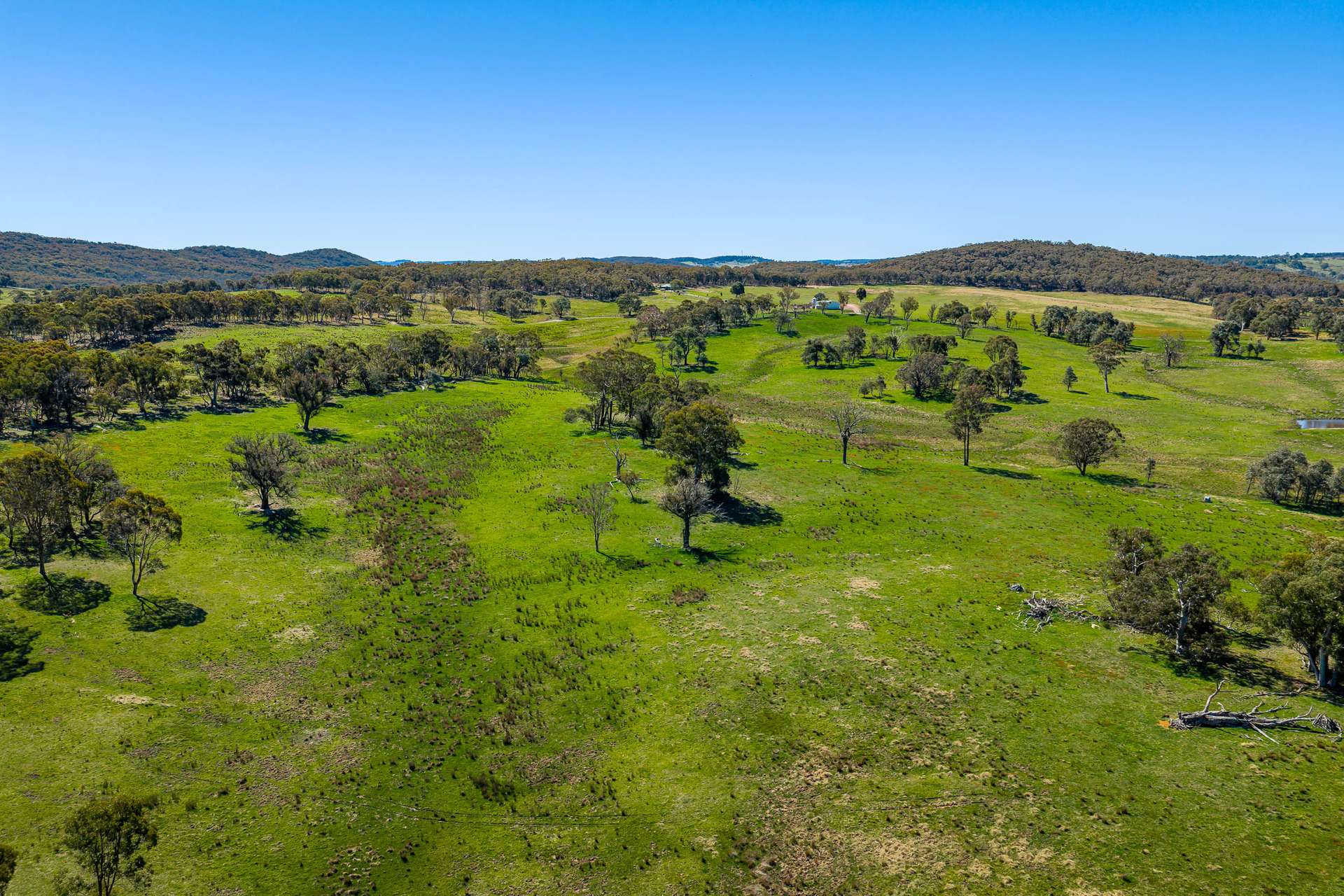 Lots 1, 68, 92, 166 Taralga Road, Tarlo Via, Goulburn Sold by Farmbuy.com - image 13