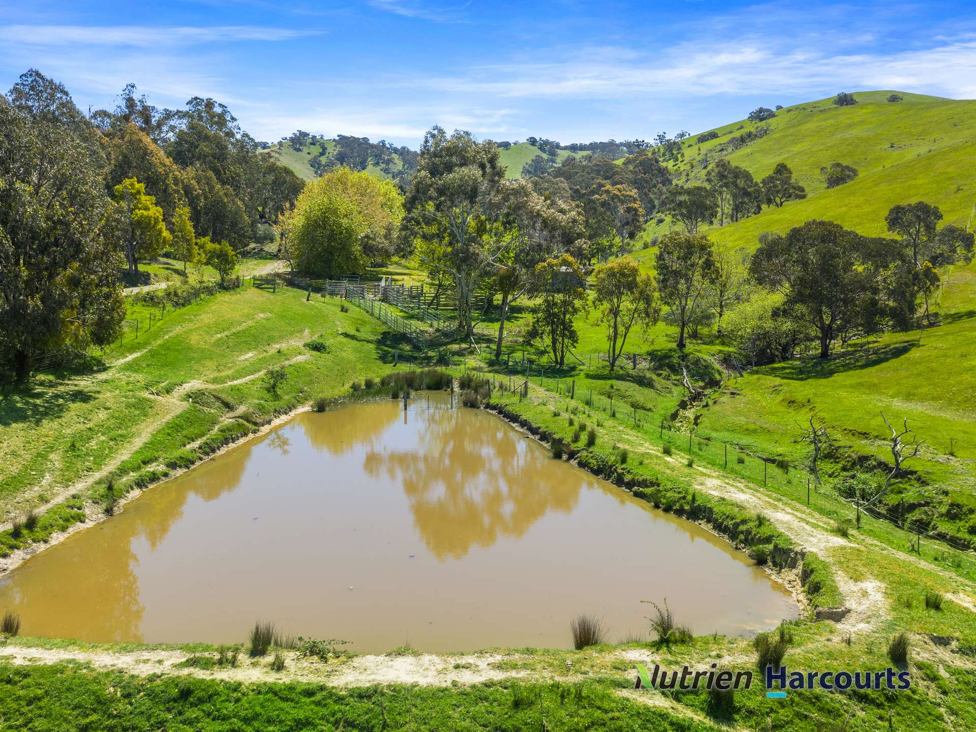 356 Mcnallys Road, Strath Creek Sold by Farmbuy.com - image 6