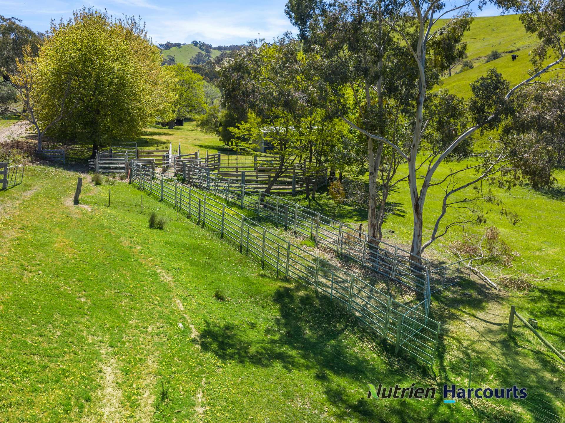 356 Mcnallys Road, Strath Creek Sold by Farmbuy.com - image 7