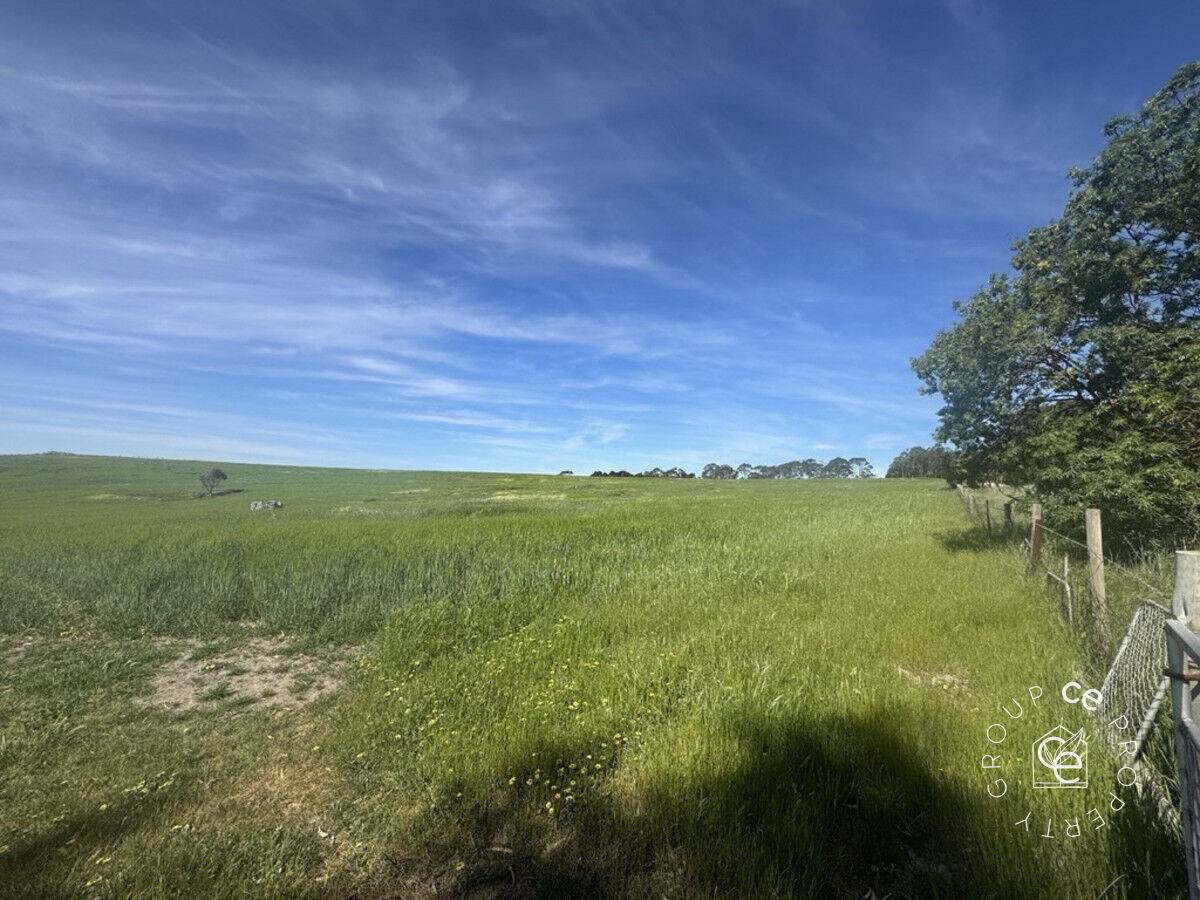 Lot 631 Burns Road, Mount Pleasant For Sale by Farmbuy.com - image 7