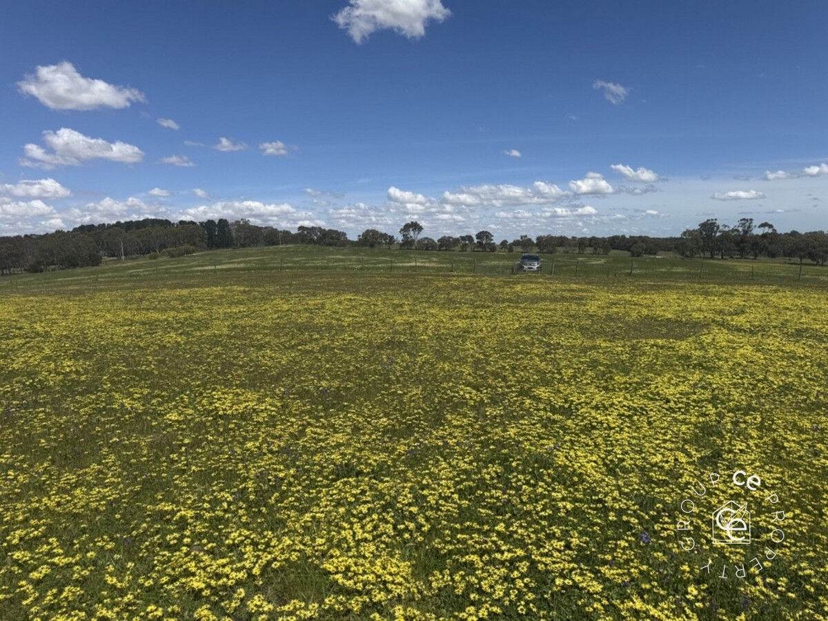 Lot 631 Burns Road, Mount Pleasant For Sale by Farmbuy.com - image 10
