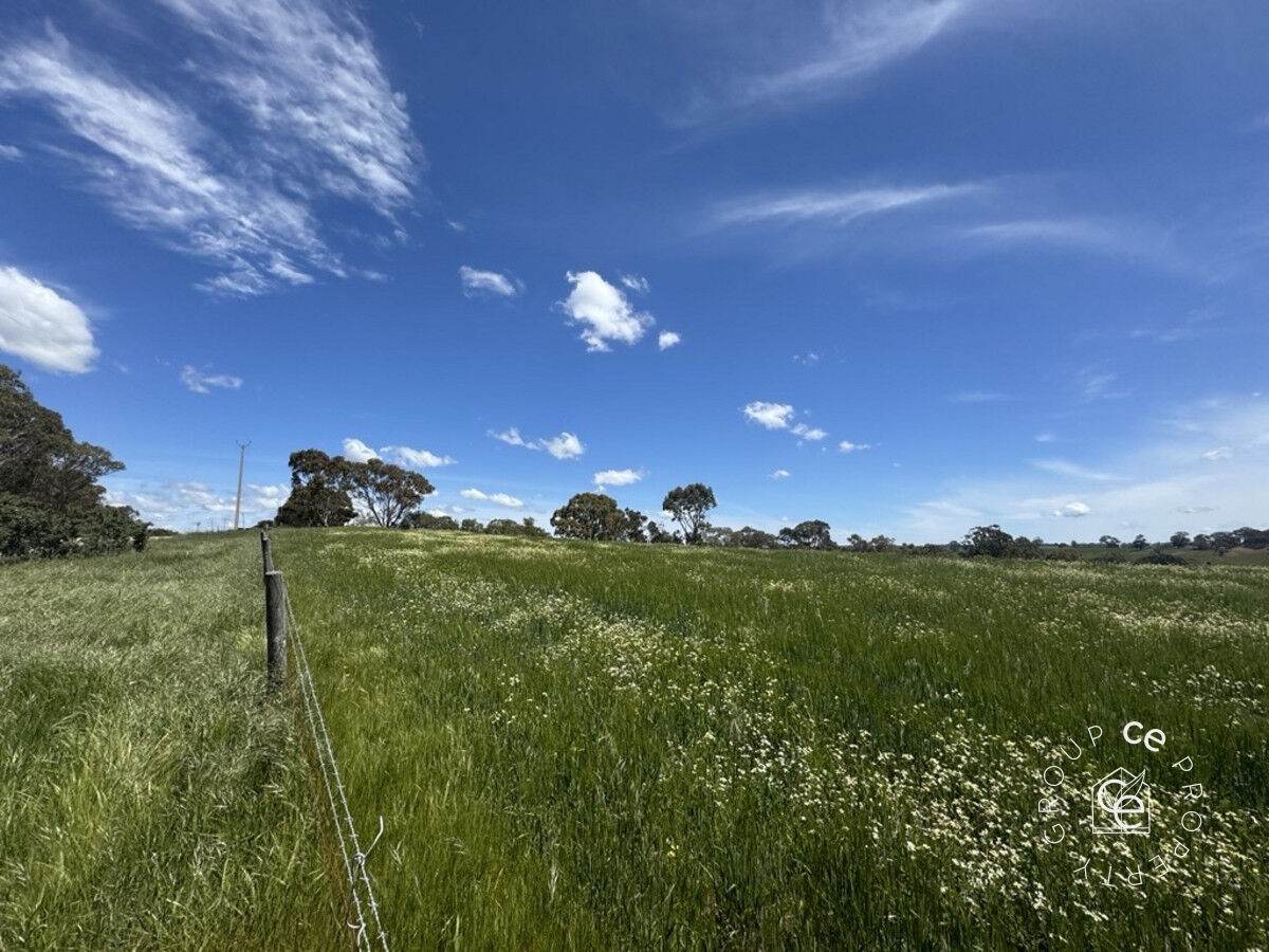 Lot 631 Burns Road, Mount Pleasant For Sale by Farmbuy.com - image 16