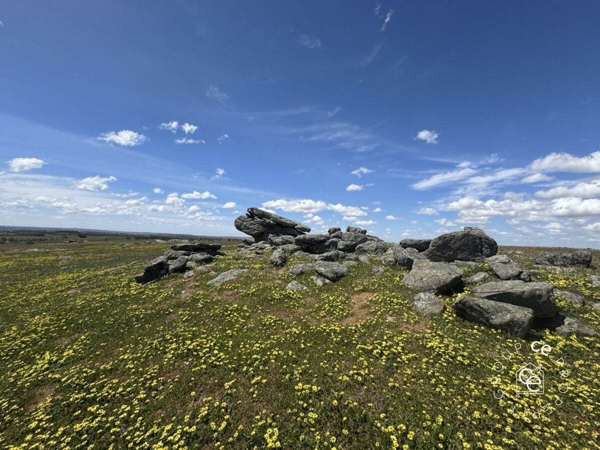 Lot 631 Burns Road, Mount Pleasant For Sale by Farmbuy.com - image 14