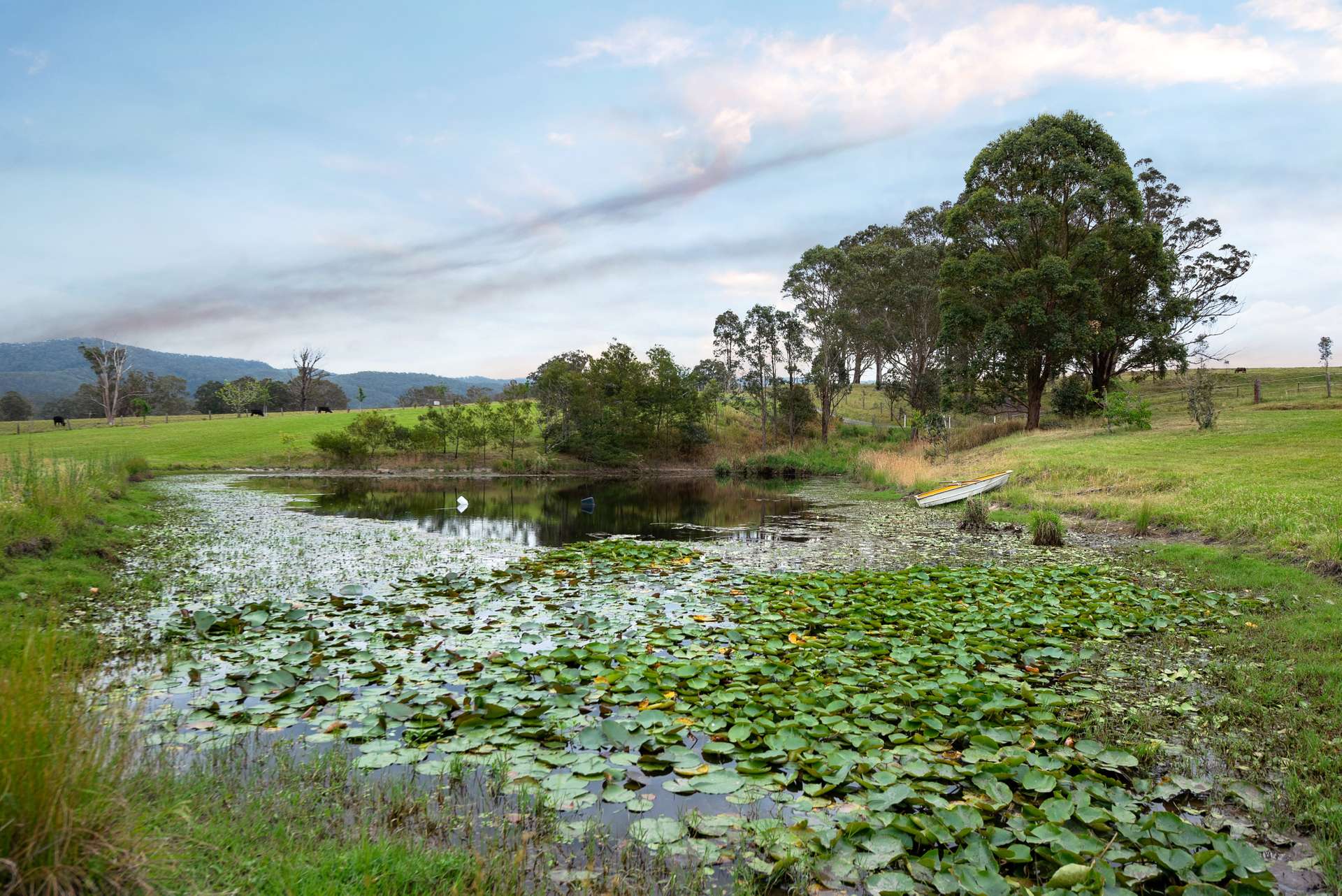 2411 The Bucketts Way, Wards River For Sale by Farmbuy.com - image 29