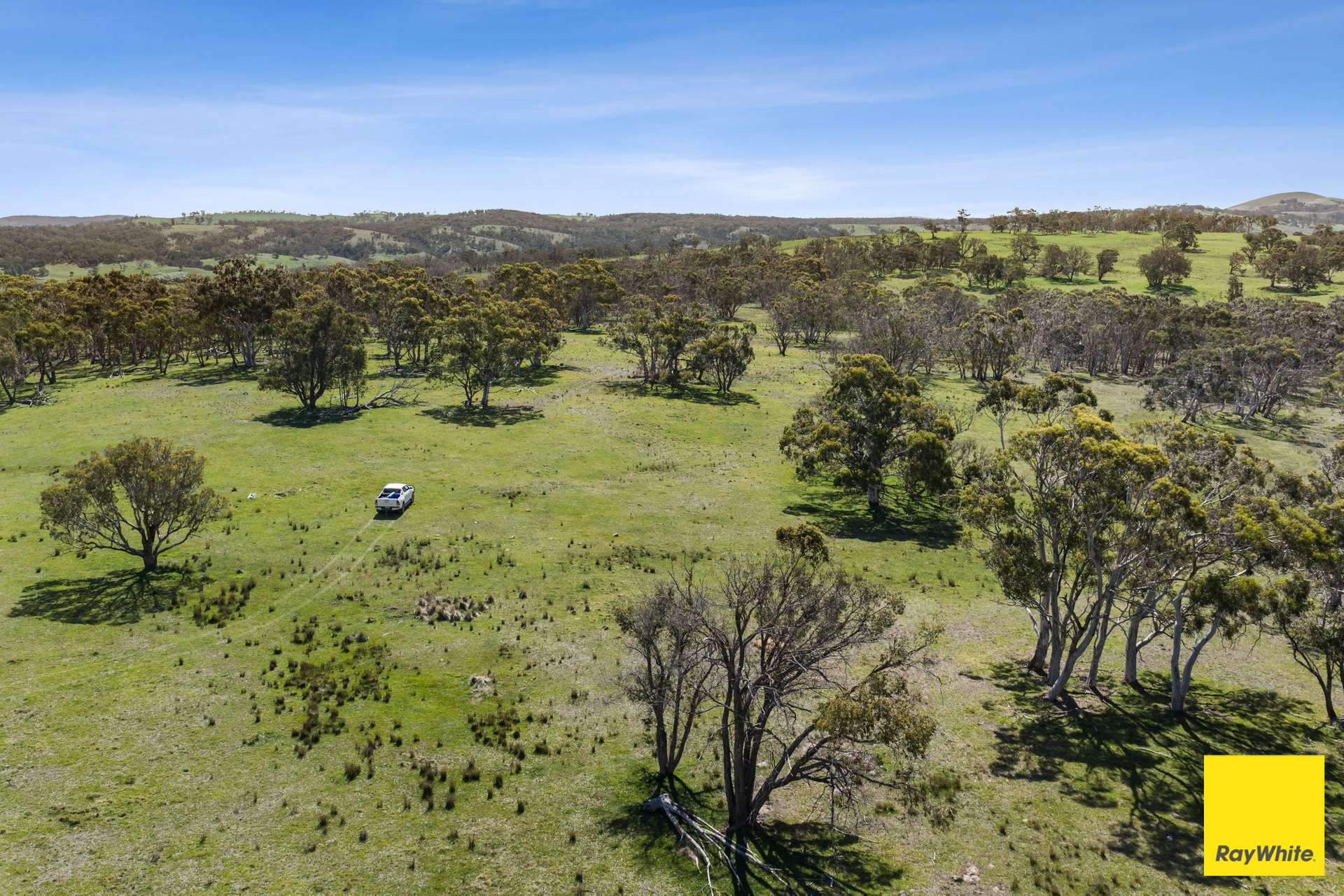 115 Goulburn Road, Mulloon For Sale by Farmbuy.com - image 21