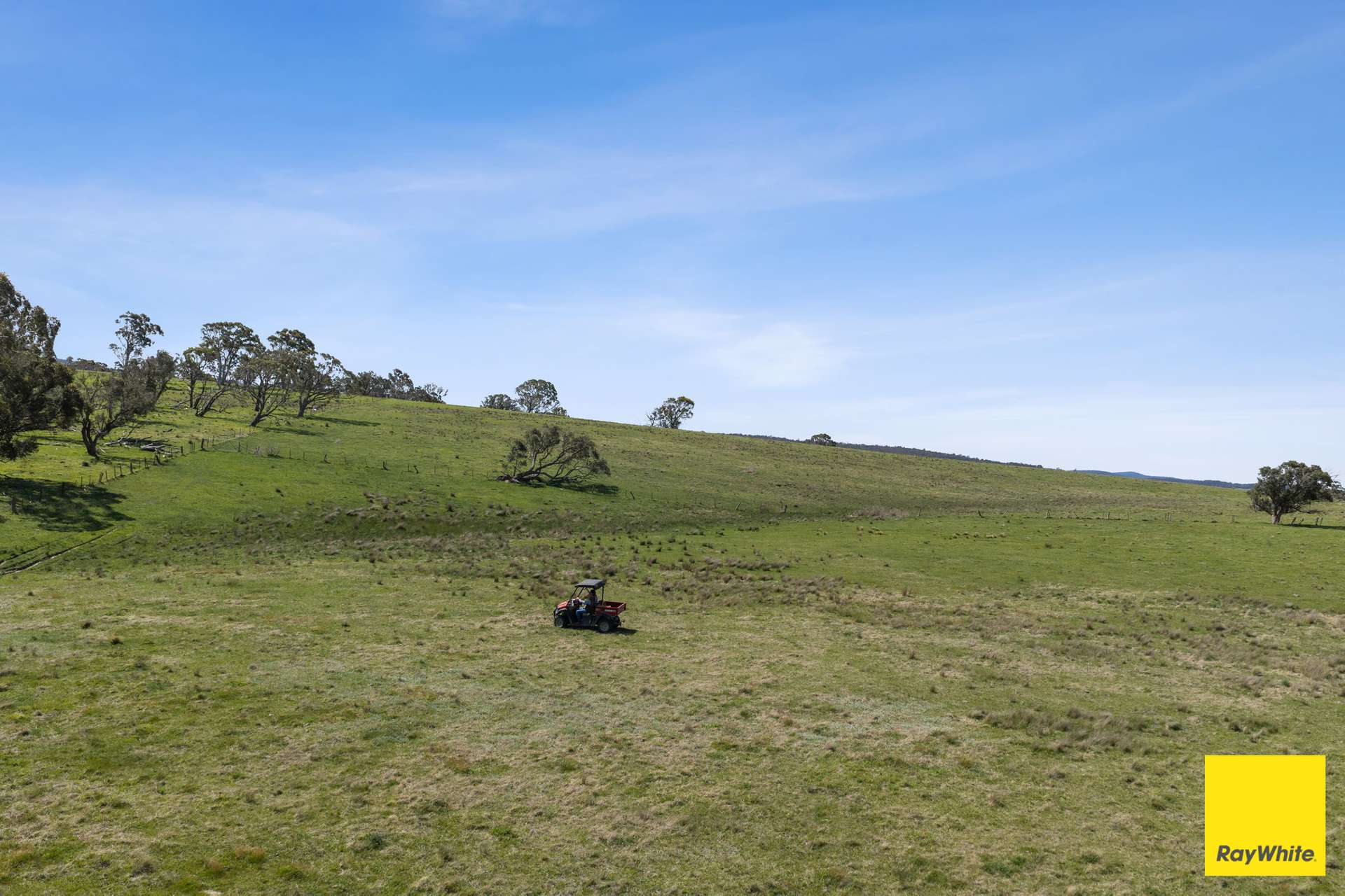 115 Goulburn Road, Mulloon For Sale by Farmbuy.com - image 11