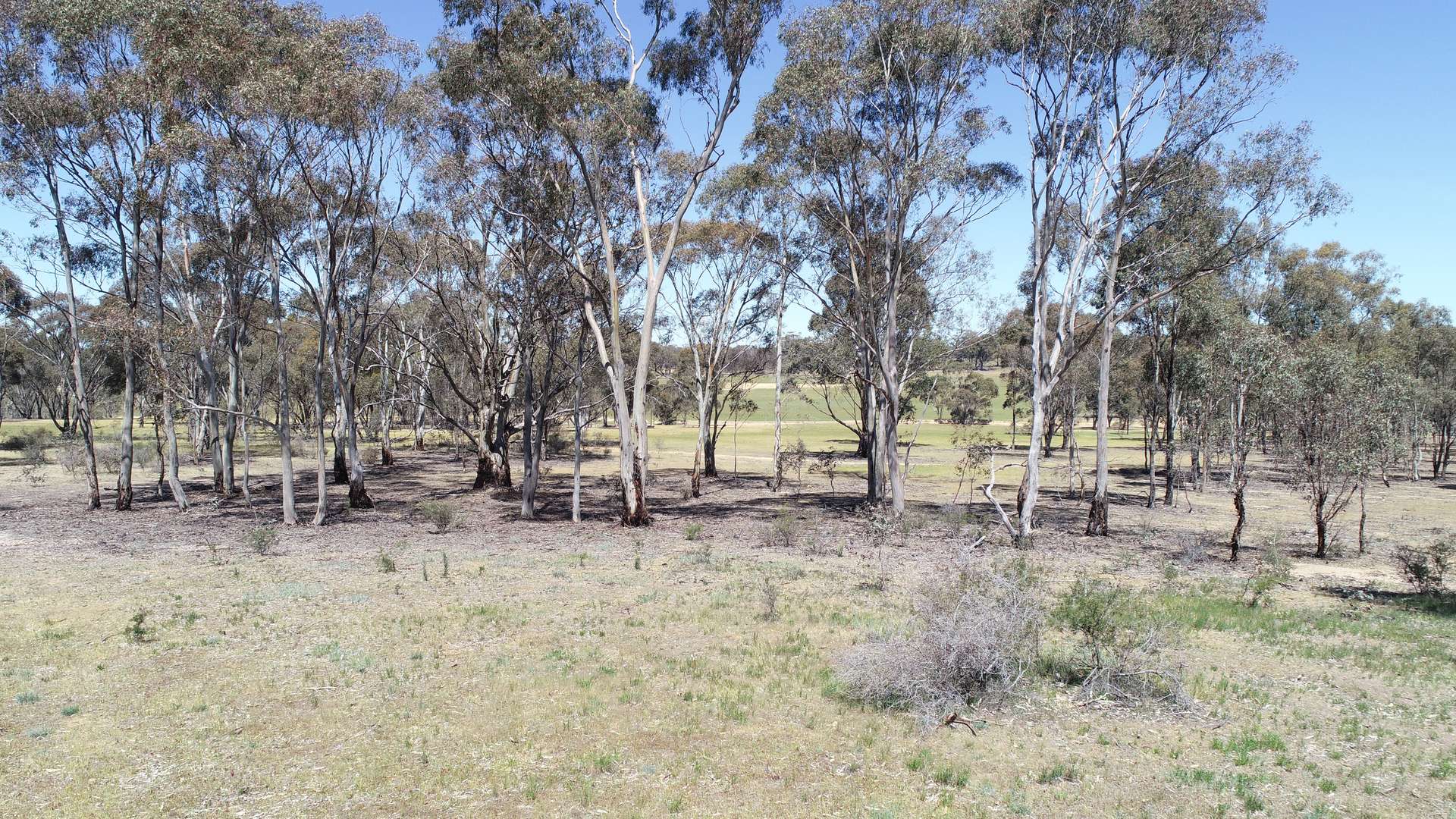 Allotment 7D Wedderburn Road, St Arnaud East Sold by Farmbuy.com - image 4