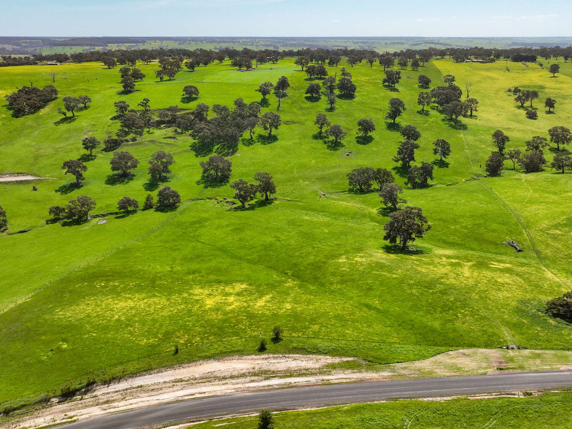 Lot 12 Noss Retreat Road, Casterton Sold by Farmbuy.com - image 16